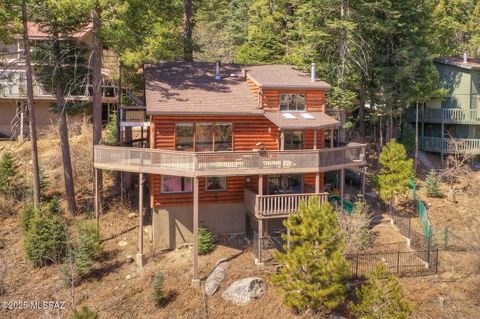 11085 E Grosbeak Lane Mt. Lemmon AZ 85619