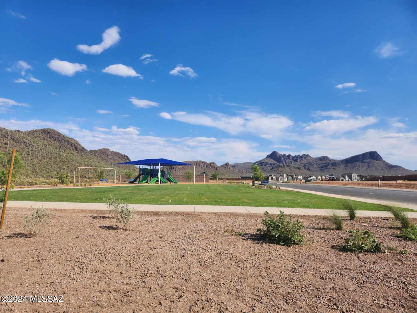 Saguaro Bloom 7A - Residential