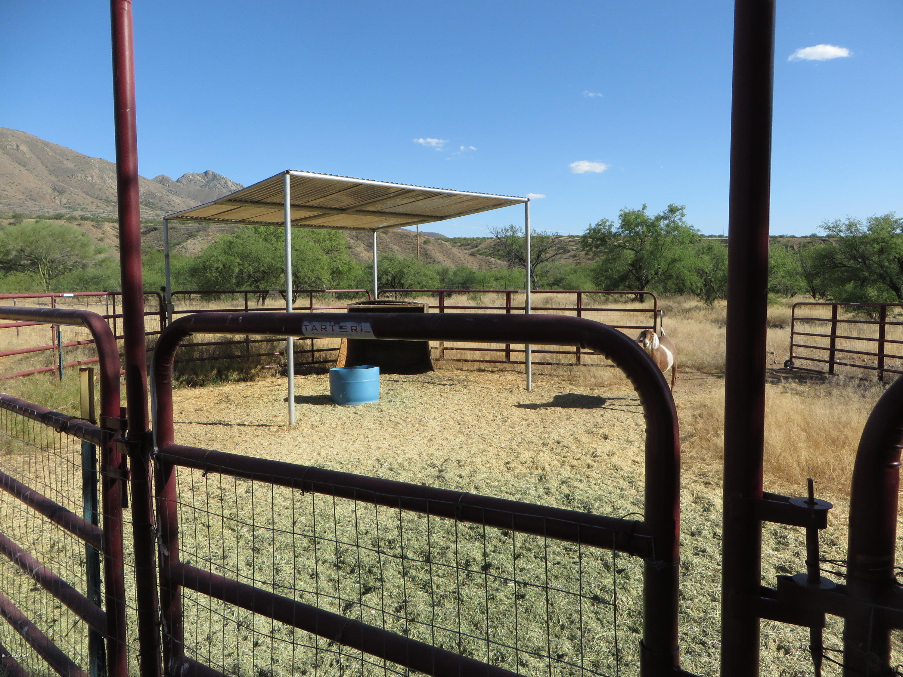 Rio Rico Estates 16 - Residential