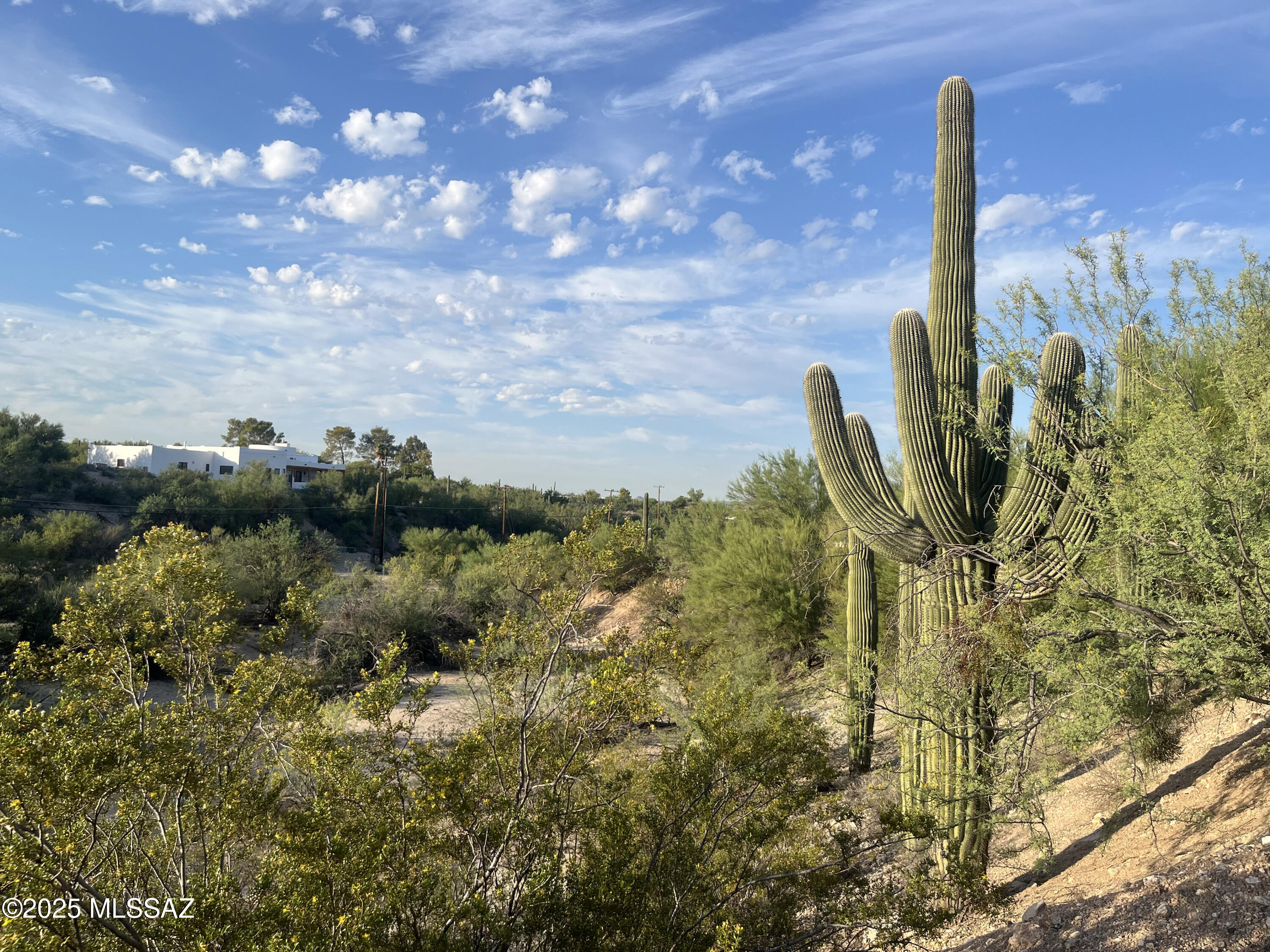 5459 N Agave Drive