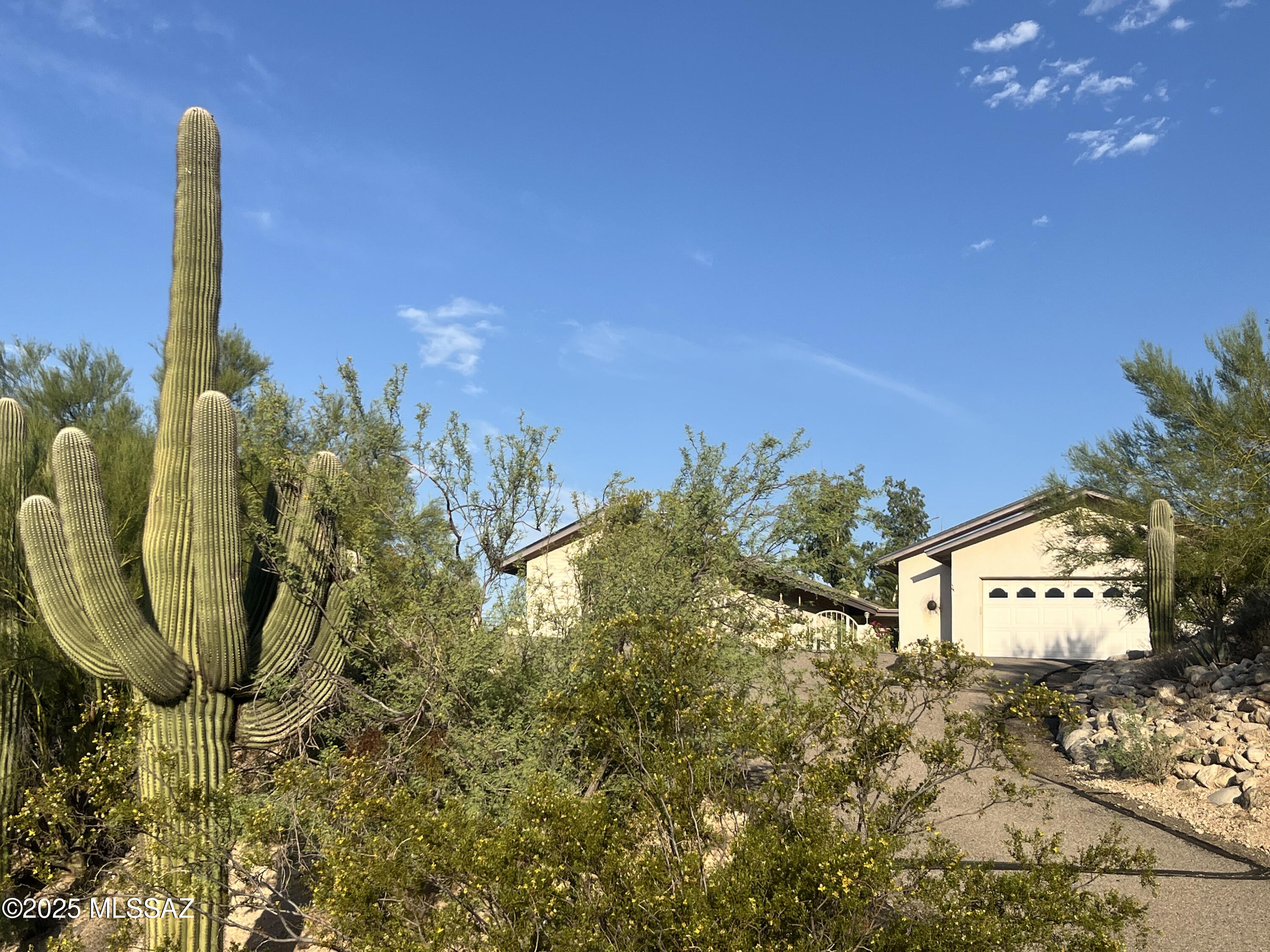 5459 N Agave Drive