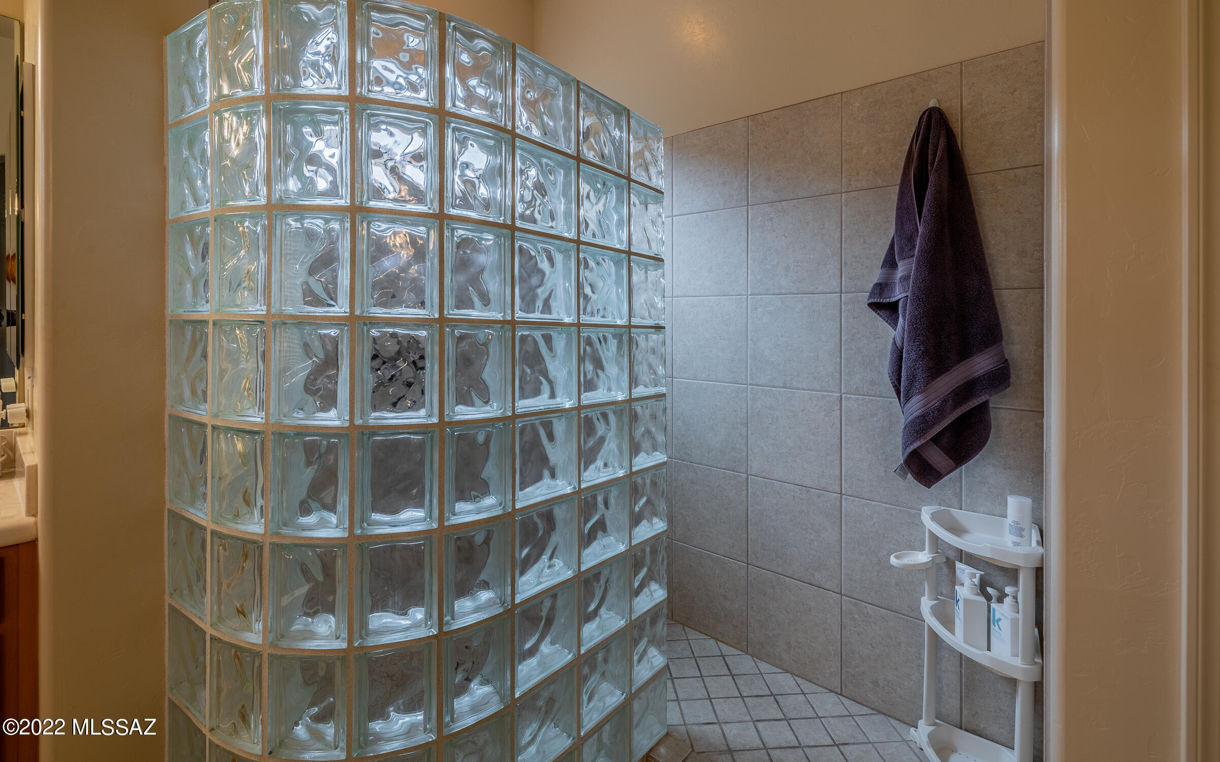 Village Five At the Villages Of La Paloma (1-71) - Residential