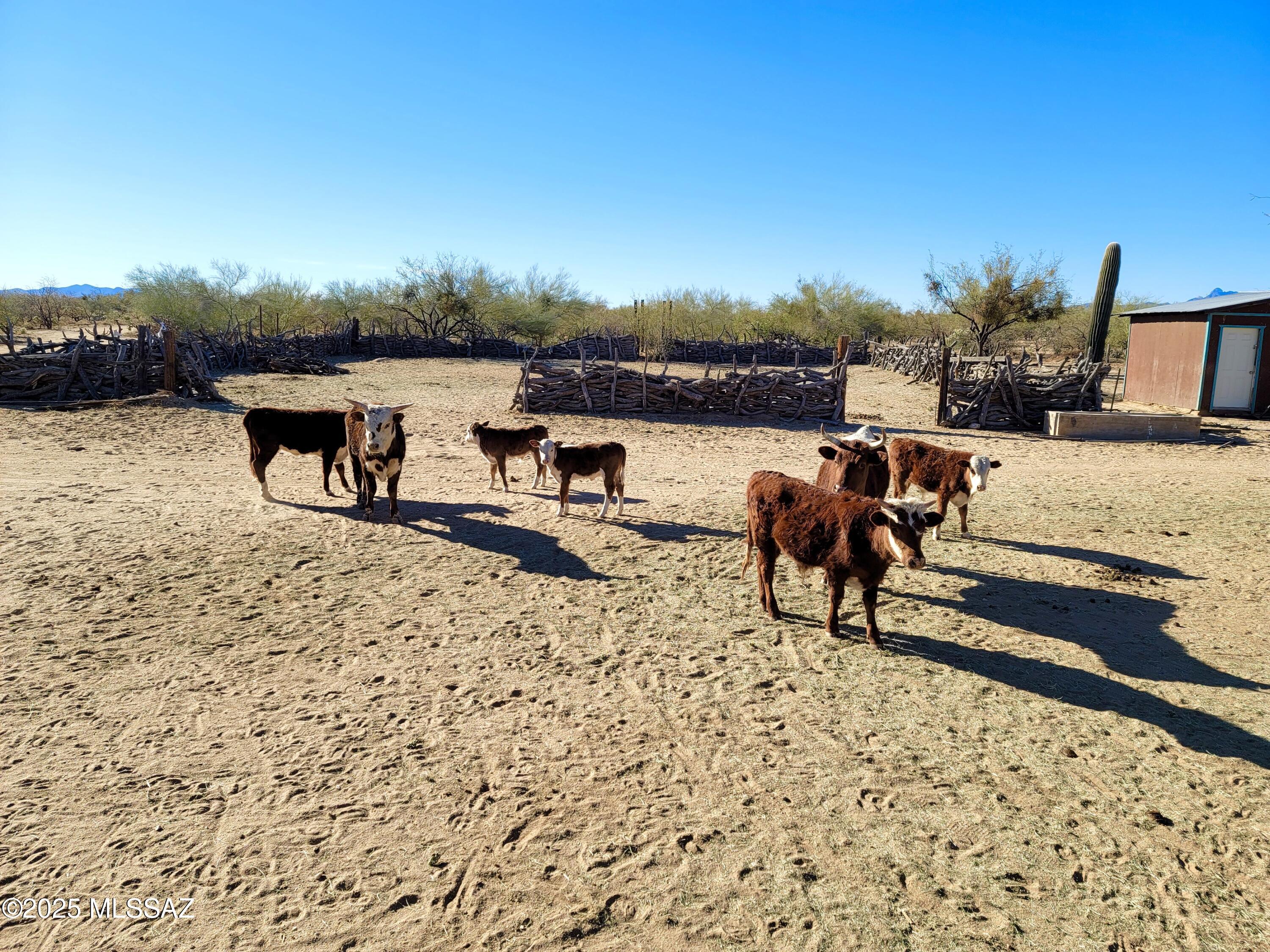 Hayhook Ranch - Residential