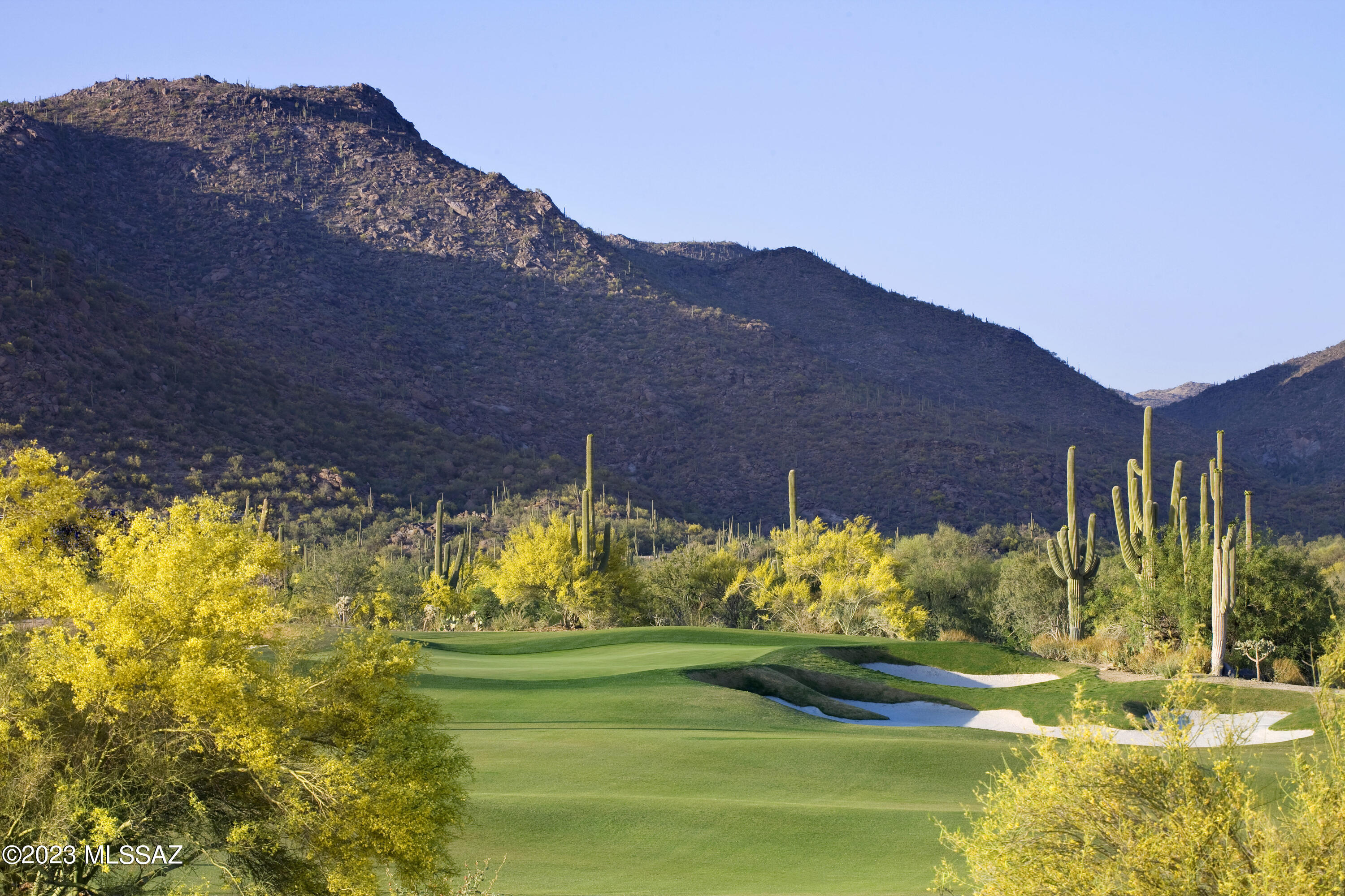 Dove Mountain Resort (1-153) - Residential