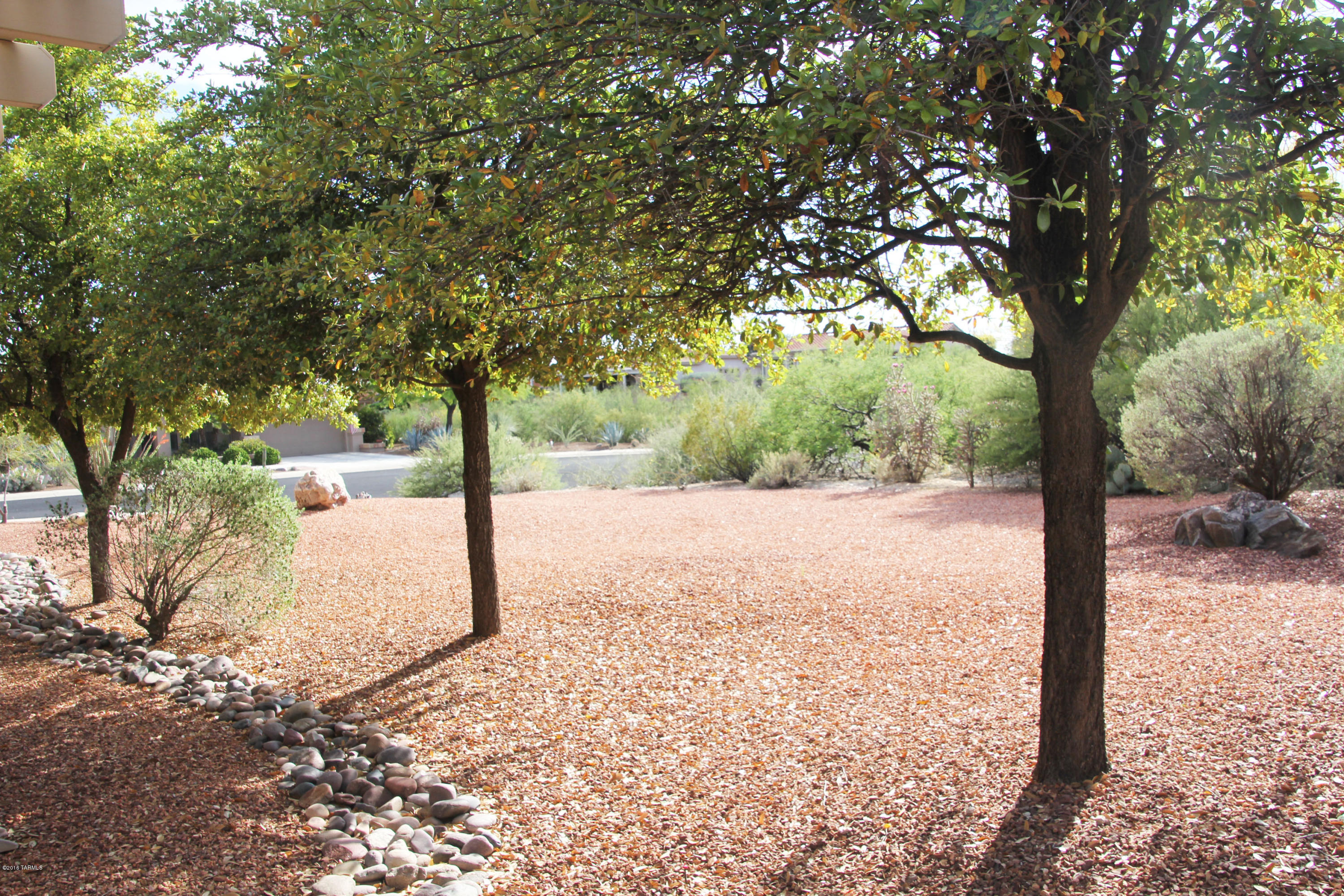 Sun City Vistoso Unit 8(1-67) - Residential