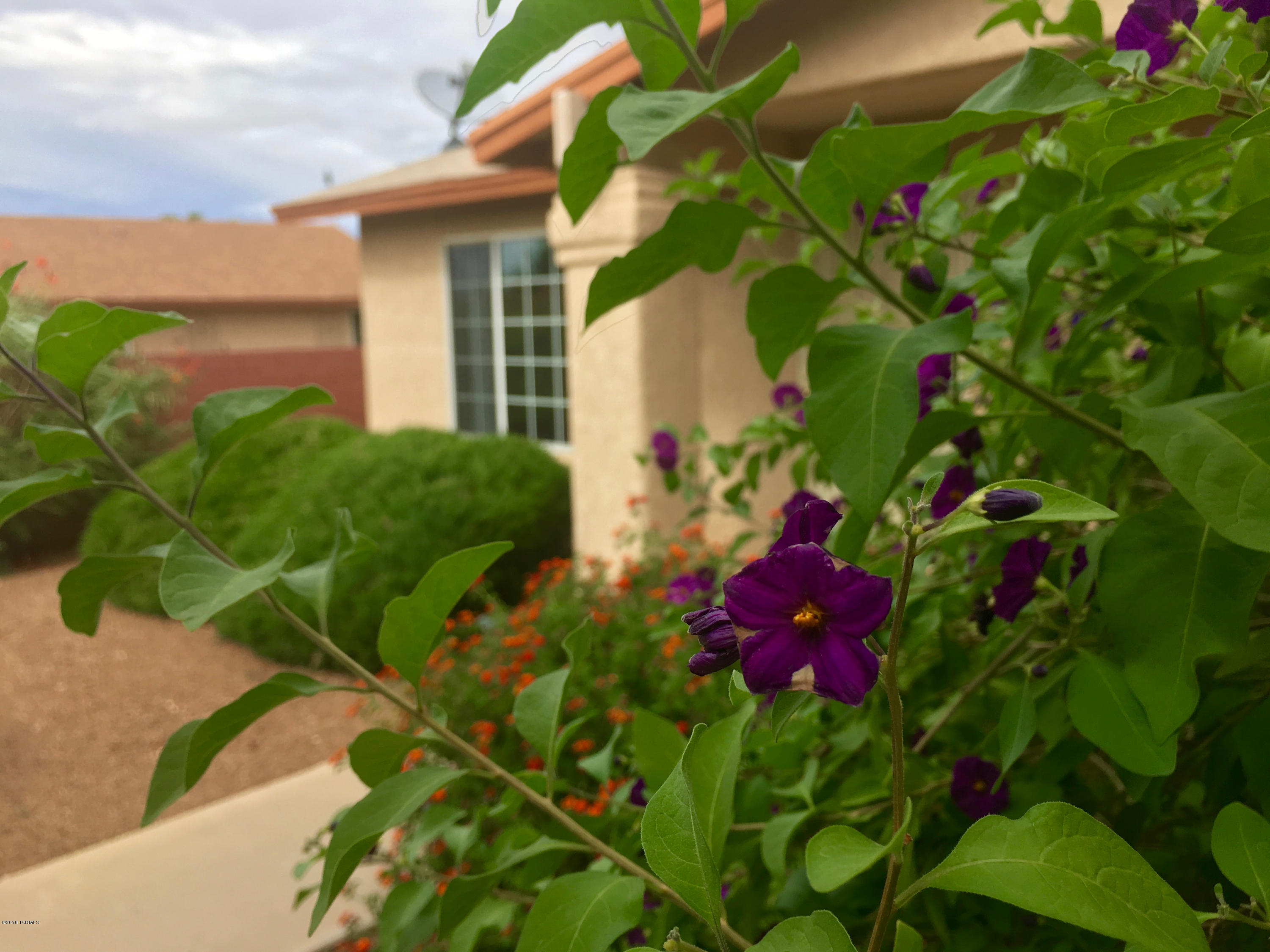 Rancho Antigua II (1-224) - Residential