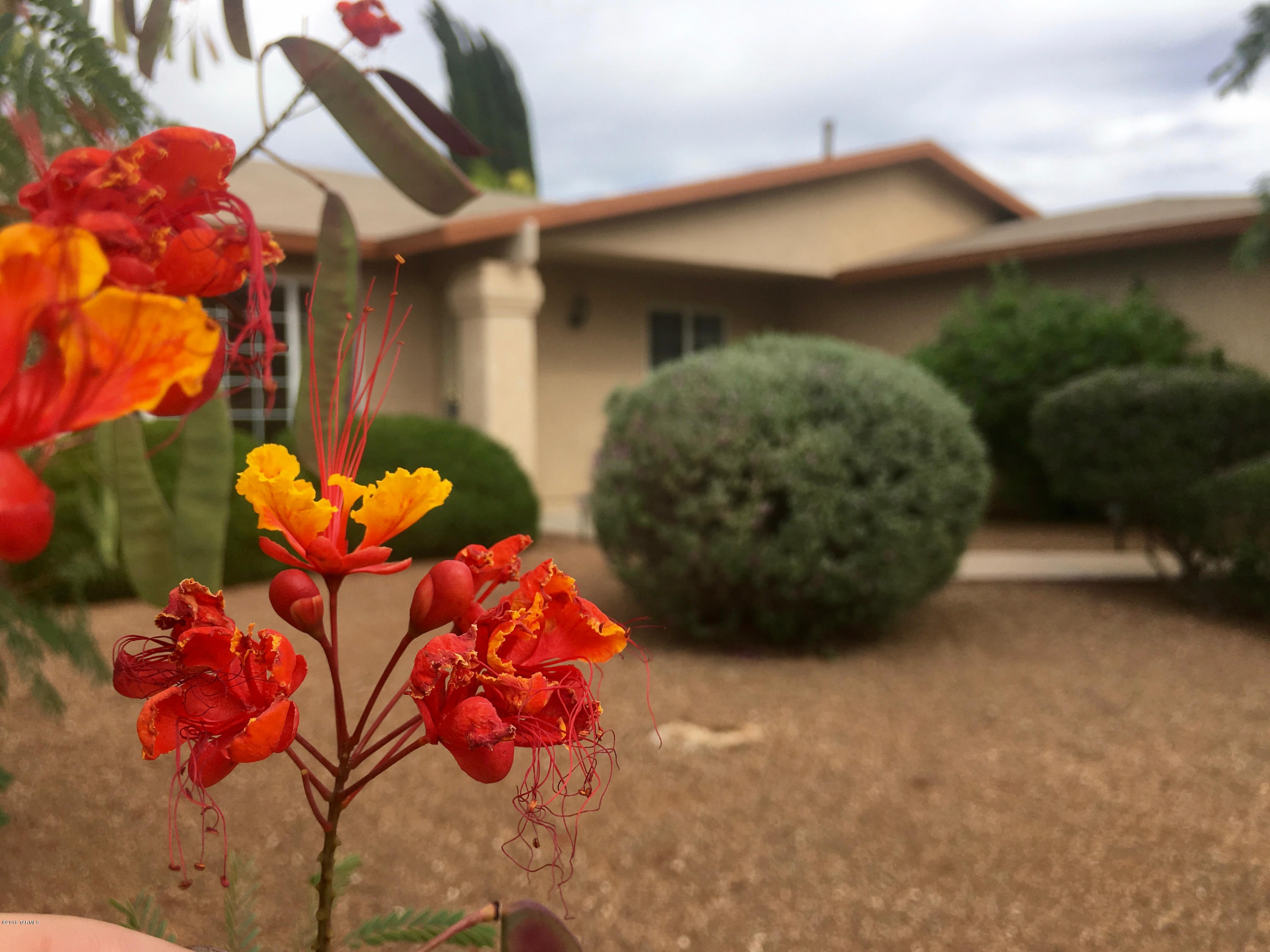 Rancho Antigua II (1-224) - Residential
