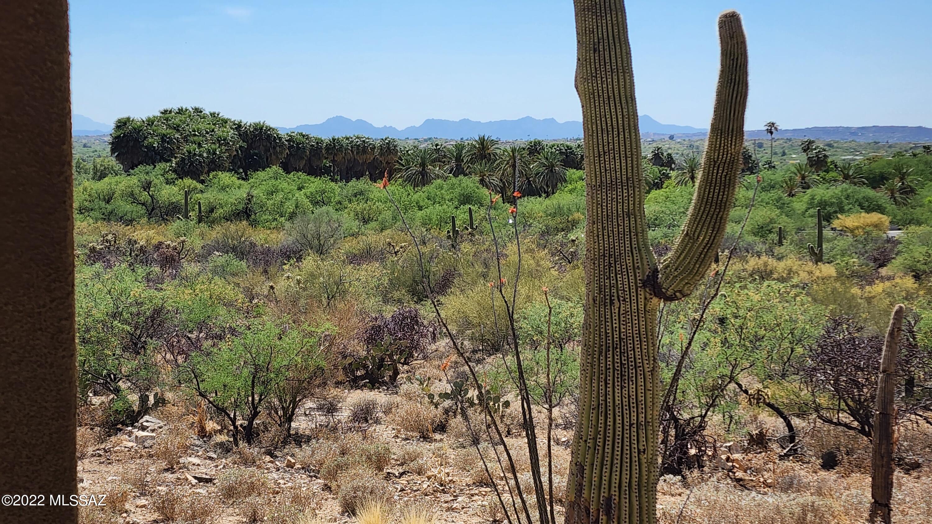 Agua Caliente Estates (1-82) - Residential
