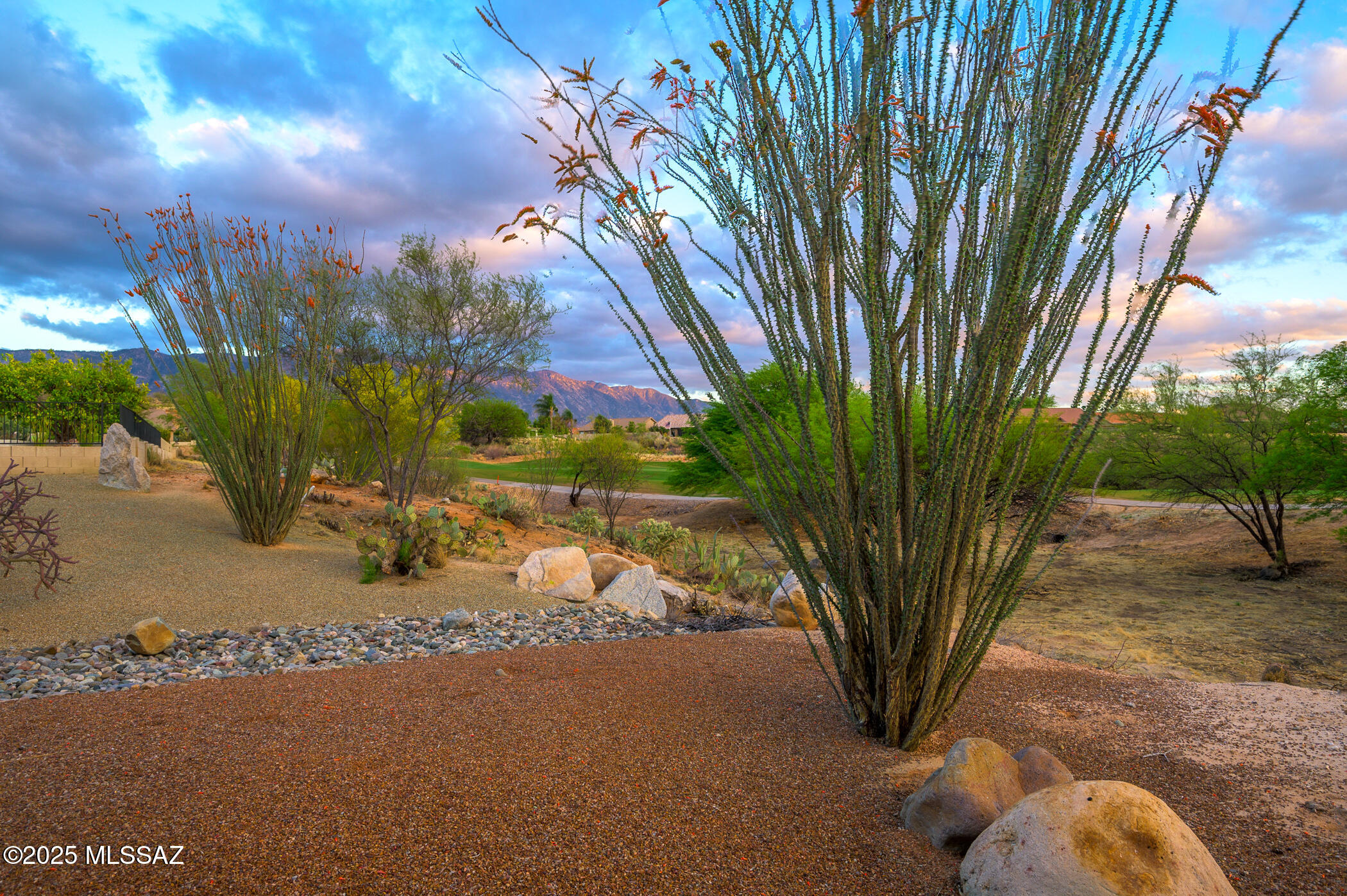 Saddlebrooke - Residential