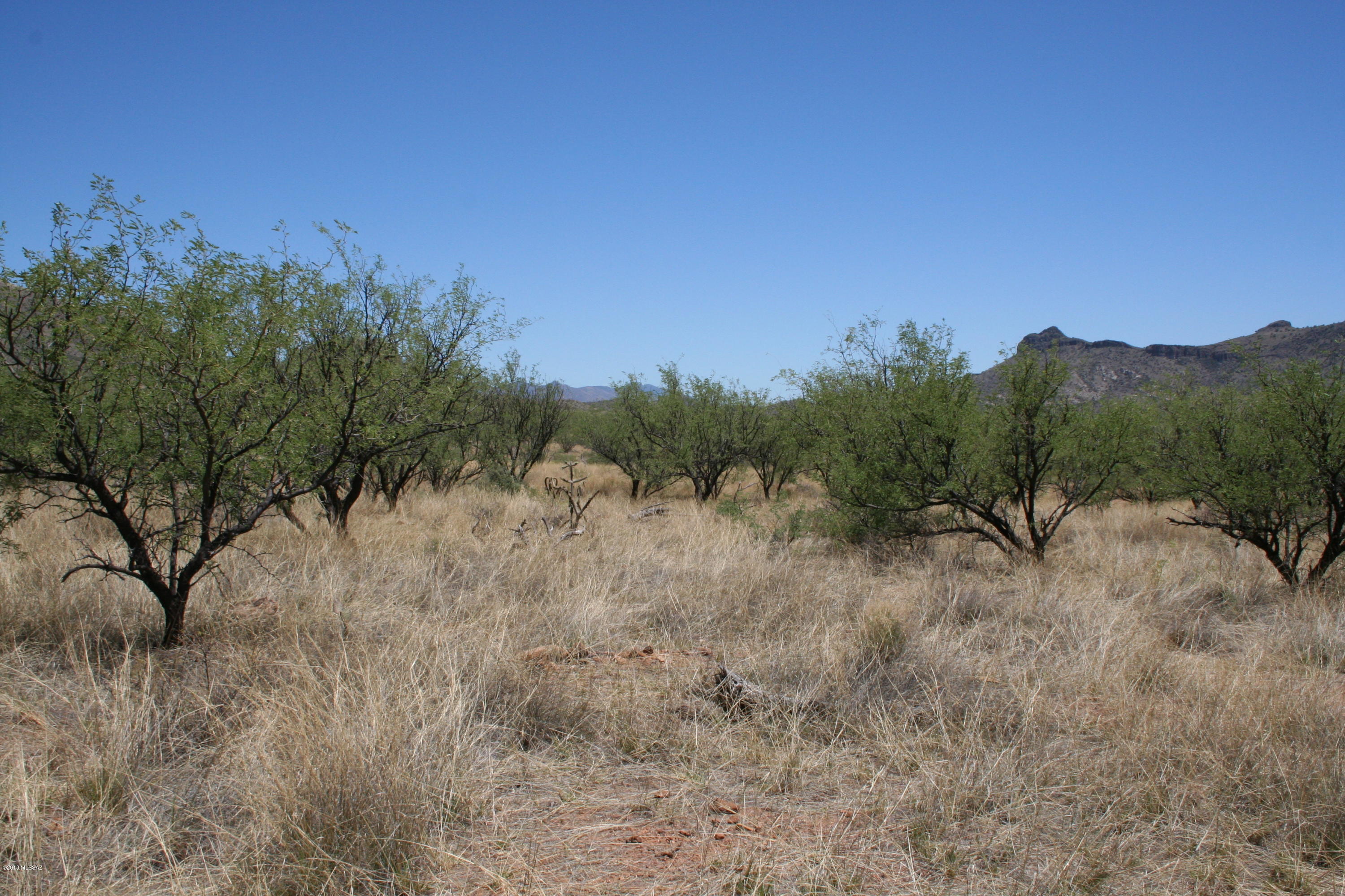 Salero Ranch - Land