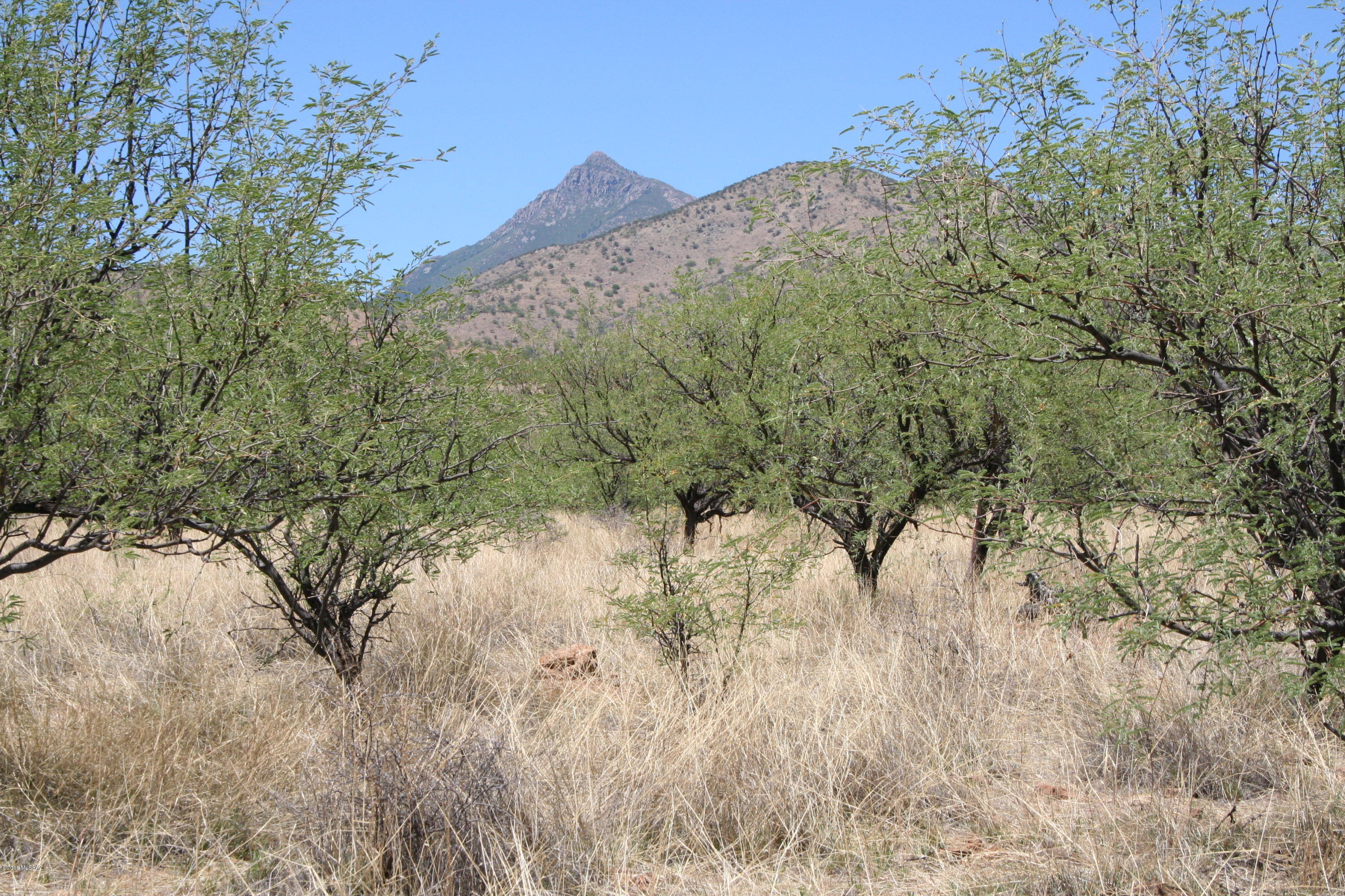 Salero Ranch - Land