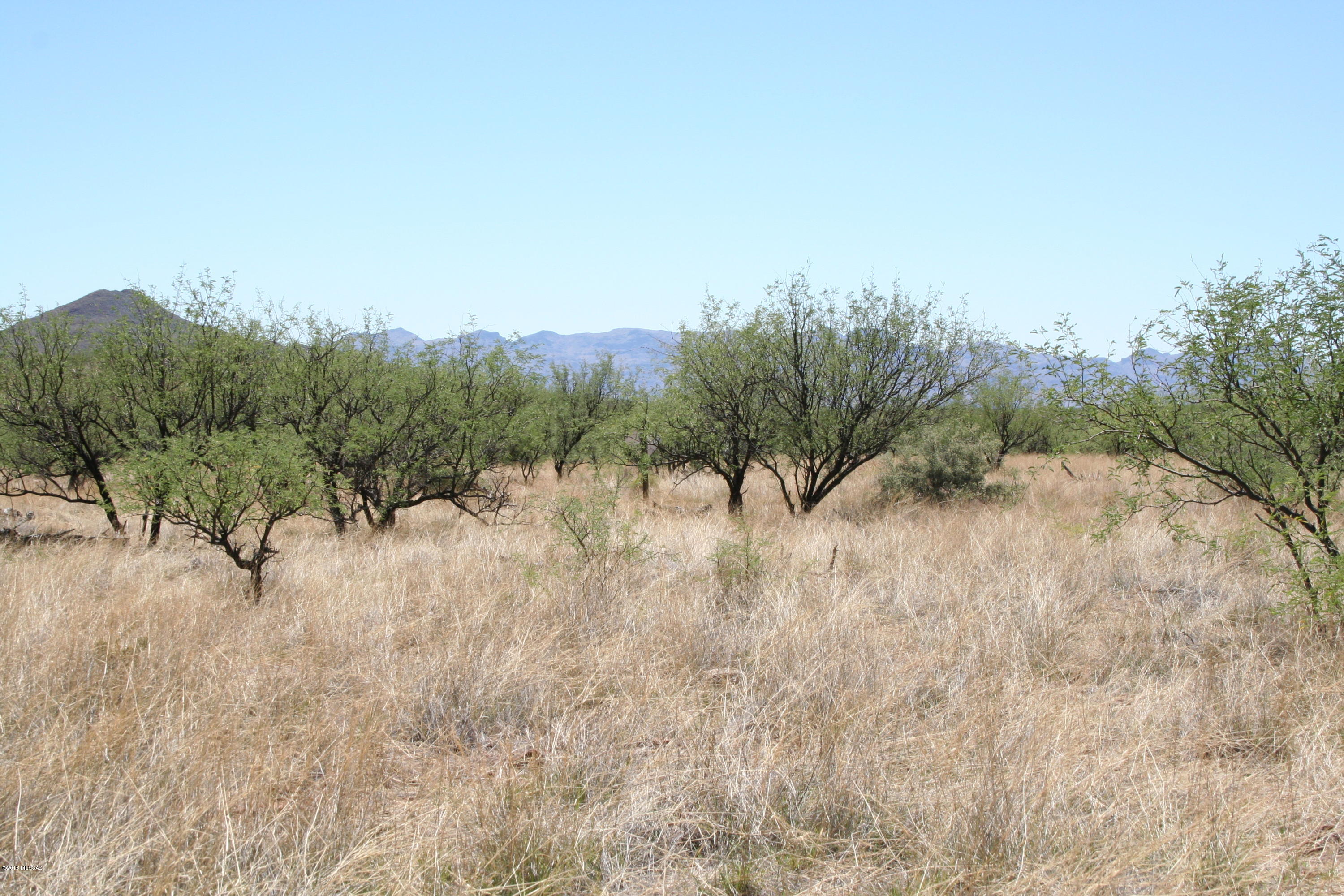 Salero Ranch - Land