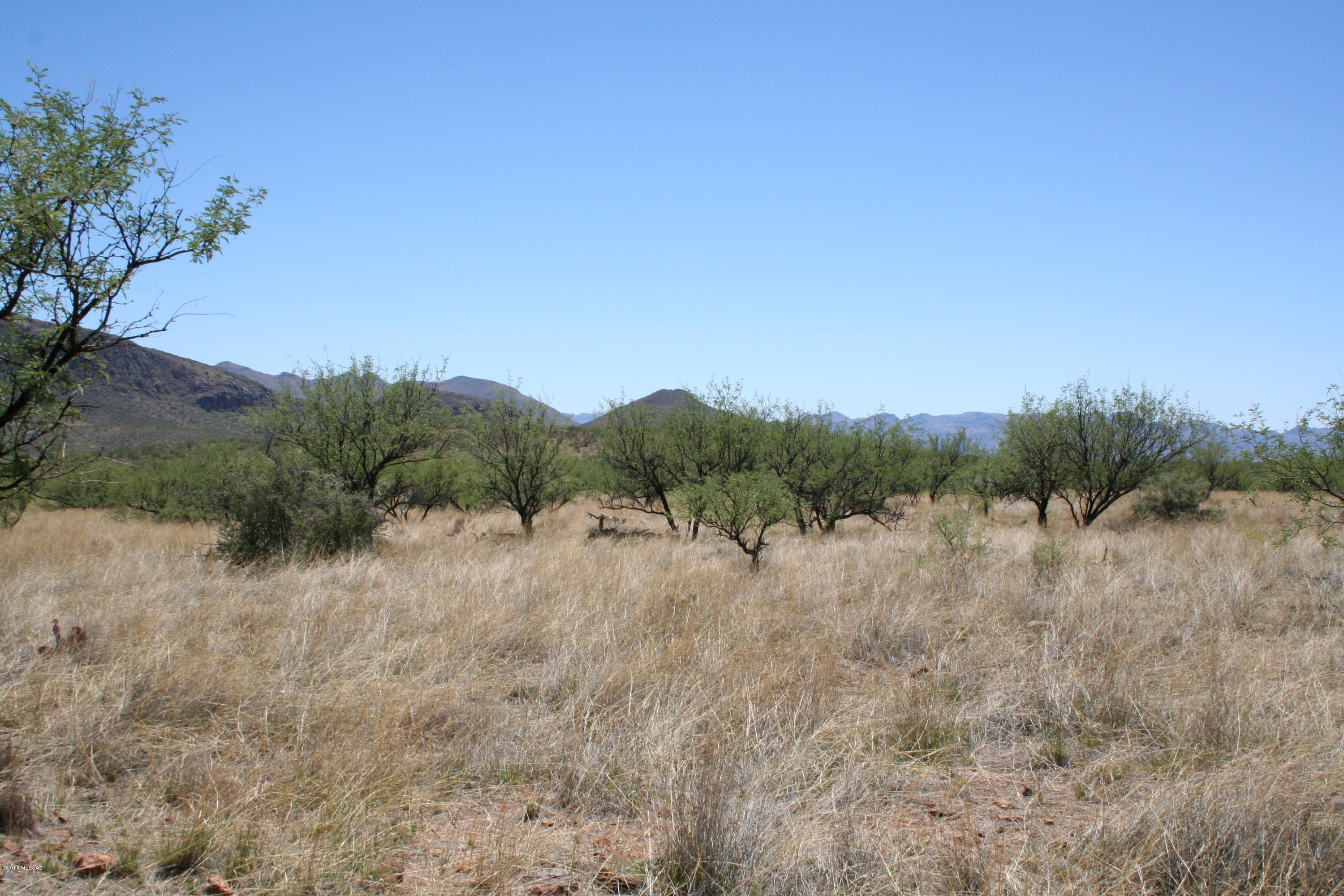 Salero Ranch - Land