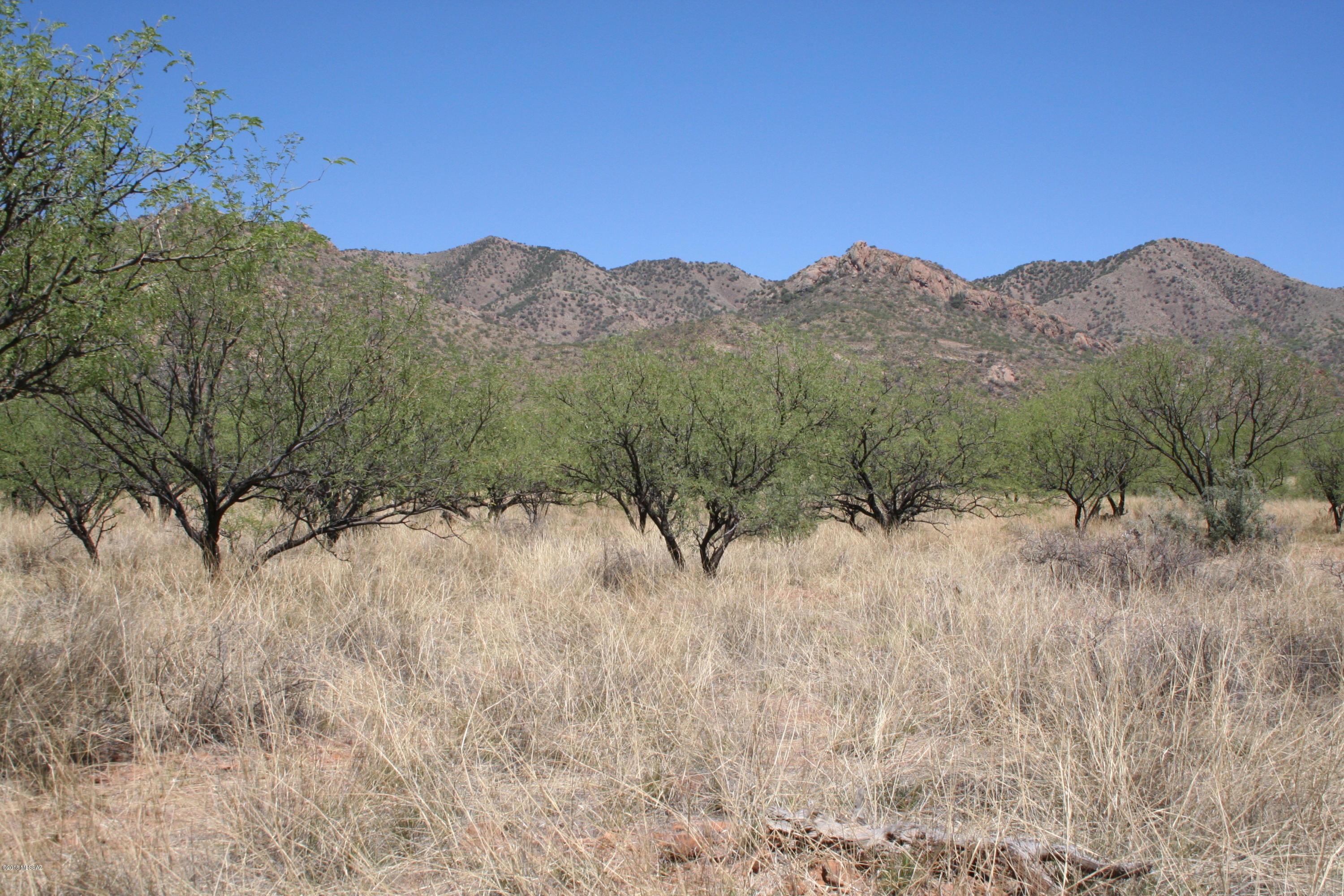 Salero Ranch - Land