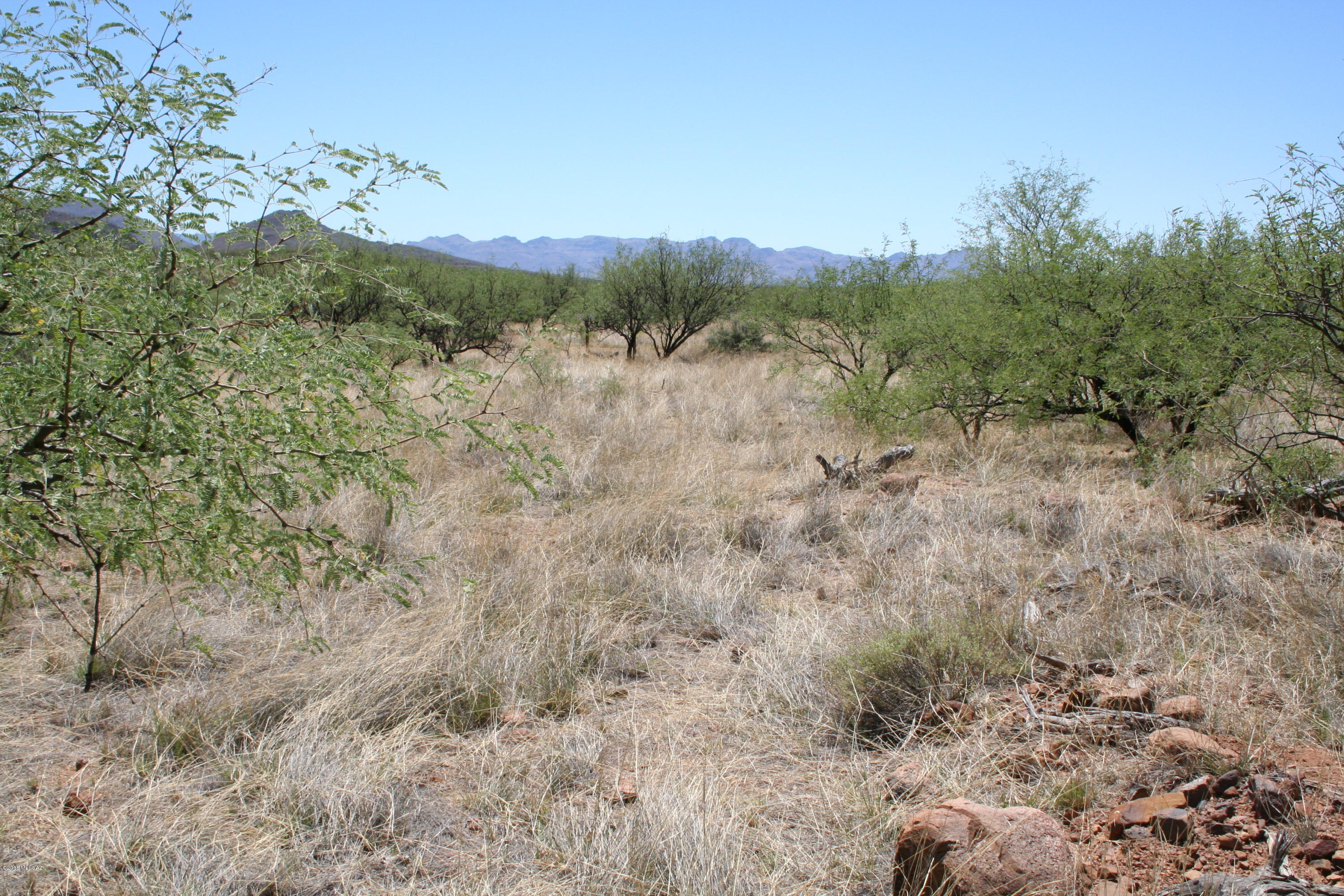 Salero Ranch - Land