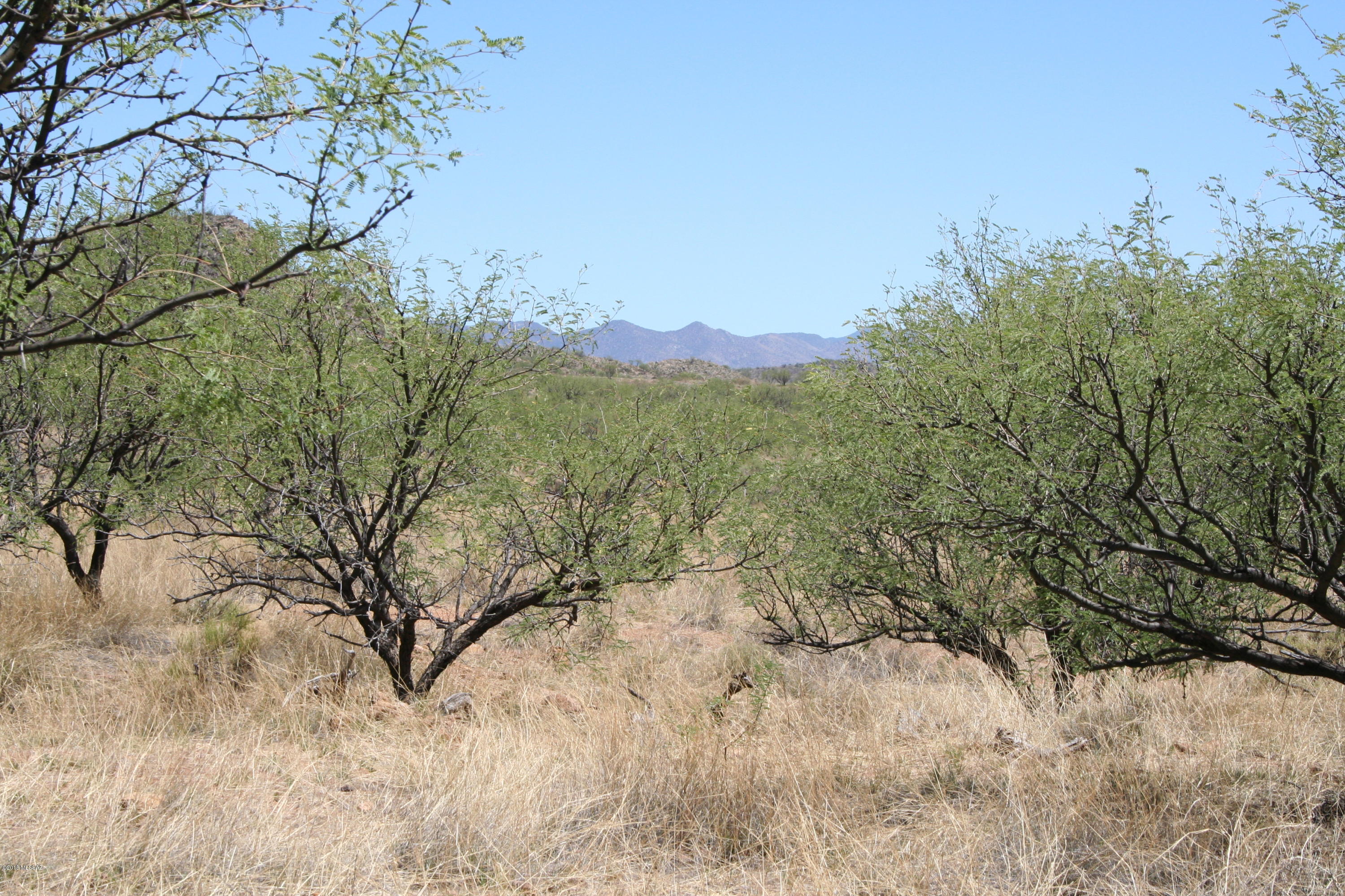 Salero Ranch - Land