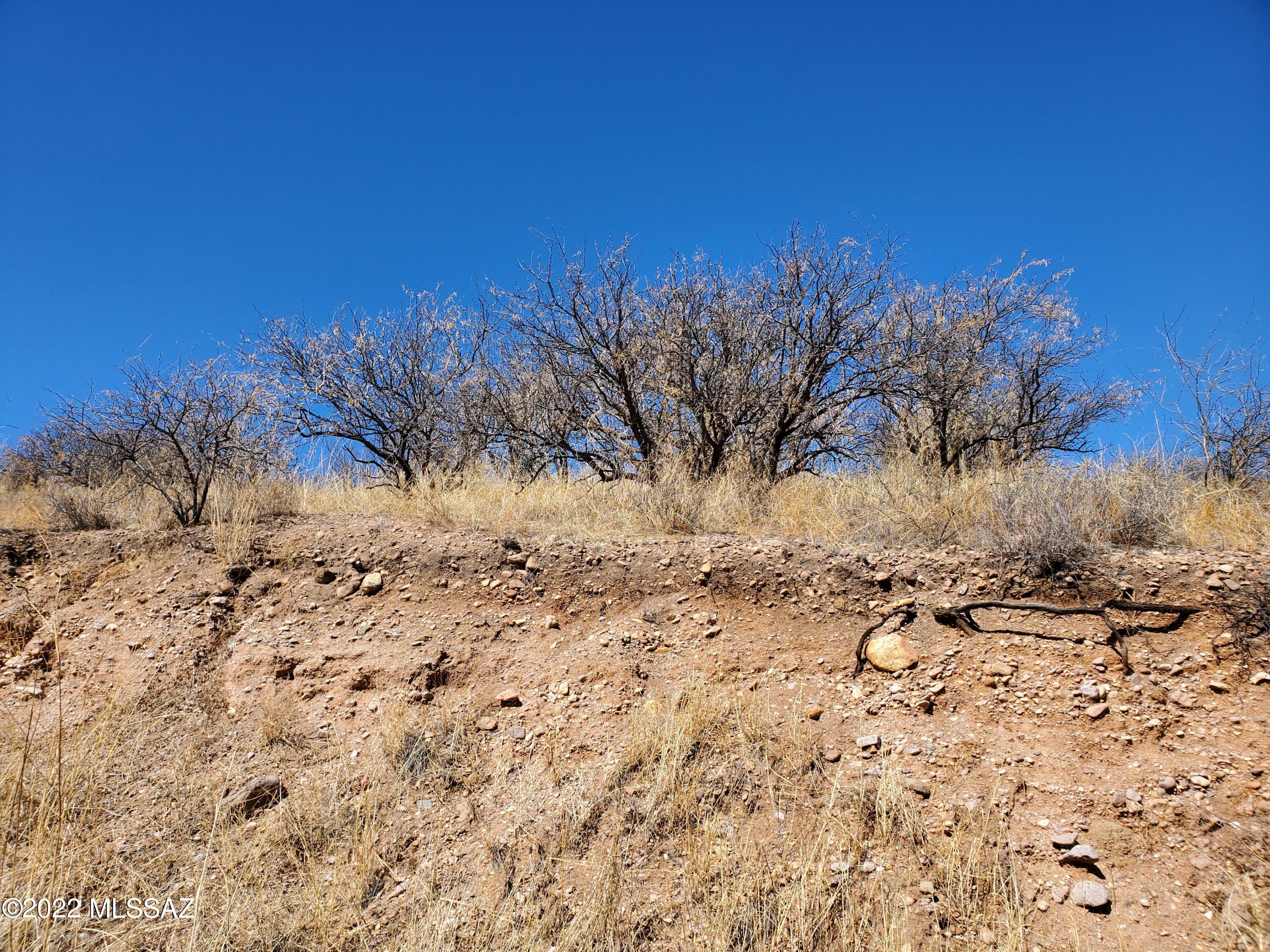 Rio Rico Estates 4 - Land