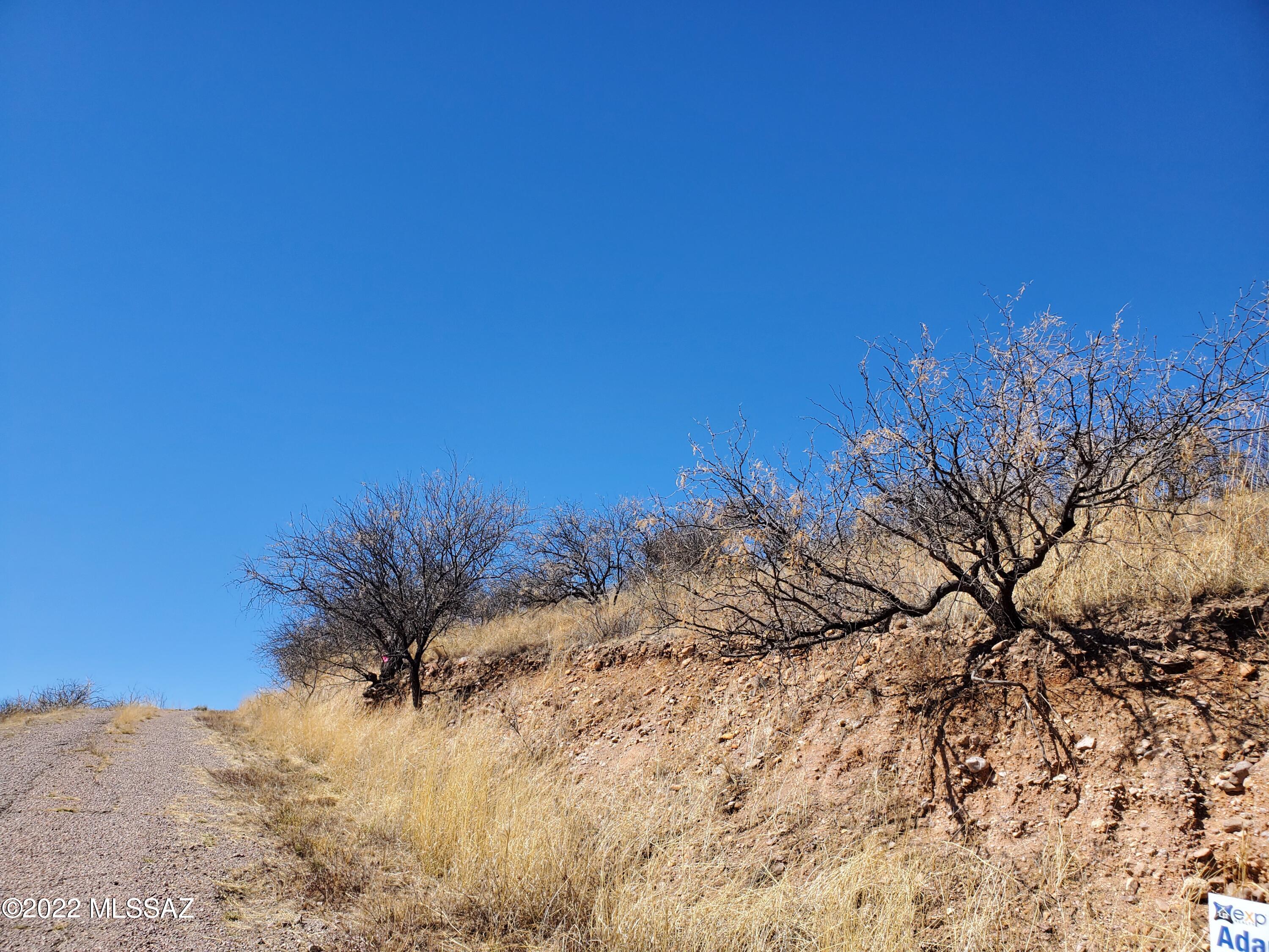 Rio Rico Estates 4 - Land