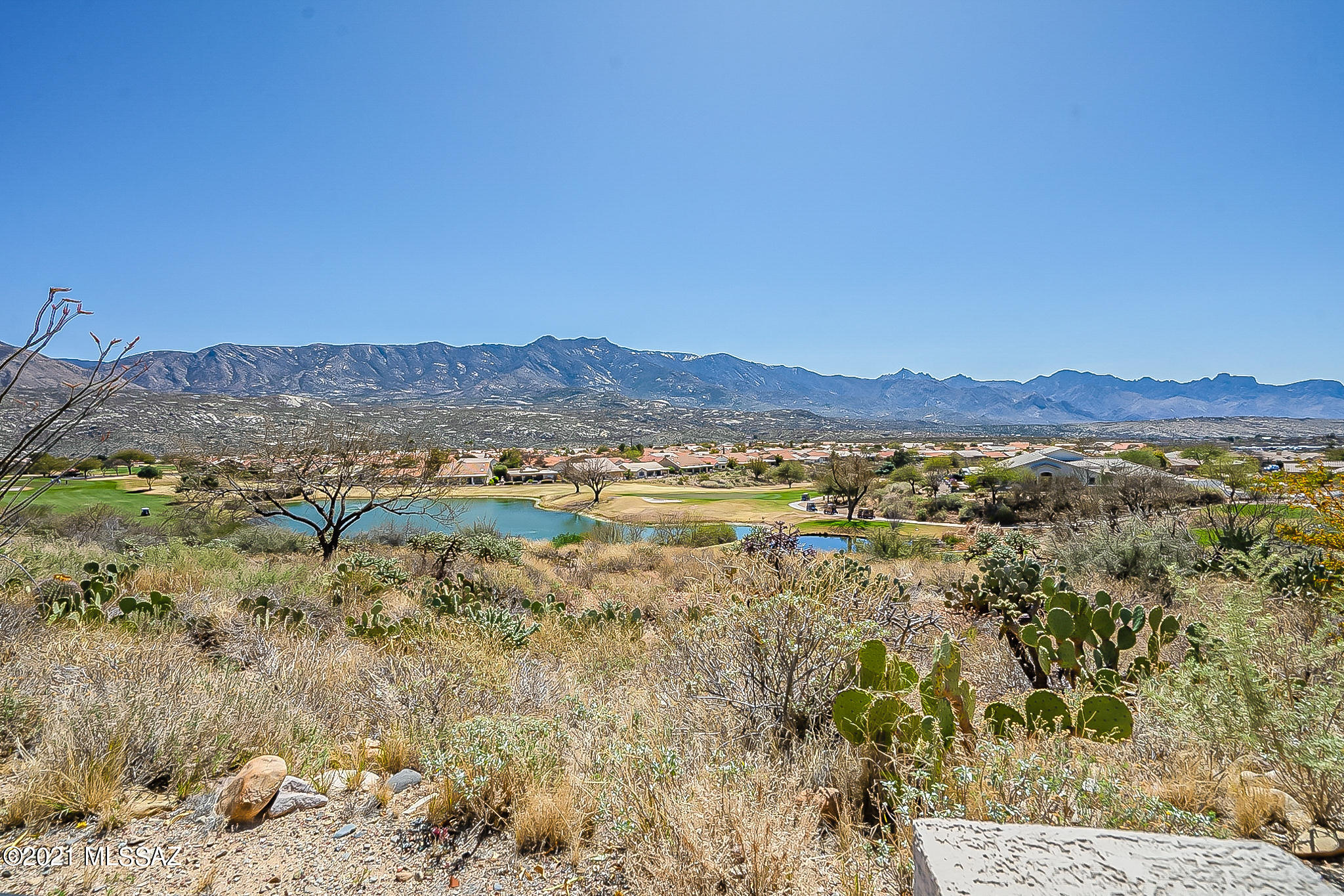 Saddlebrooke - Residential