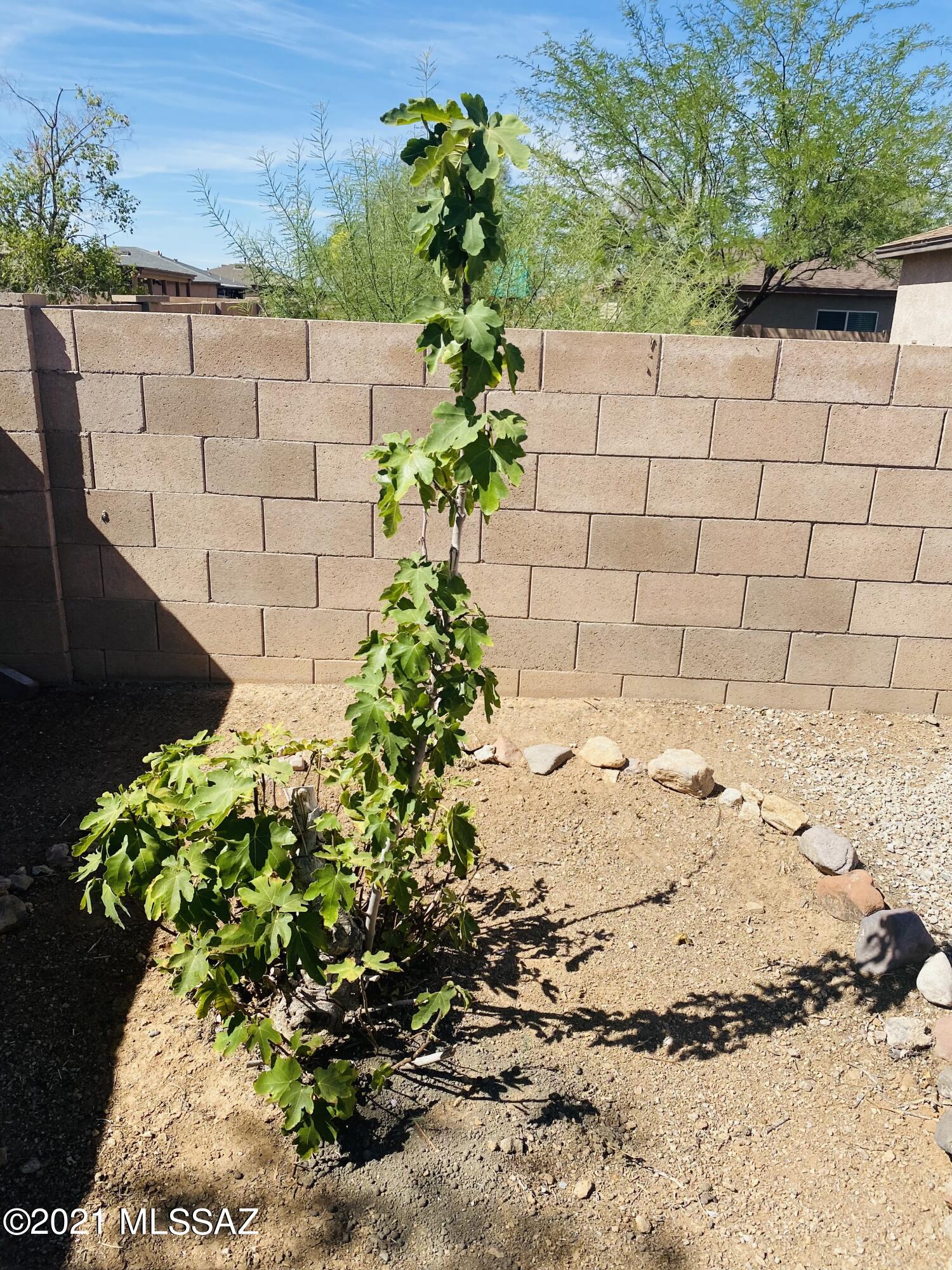 Tucson Mountain Sanctuary (1-154) - Residential