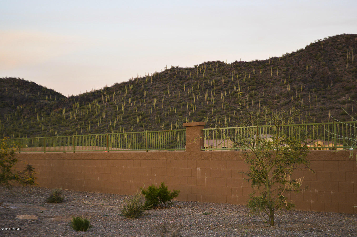Saguaro Springs Block 8B (131-399) - Residential