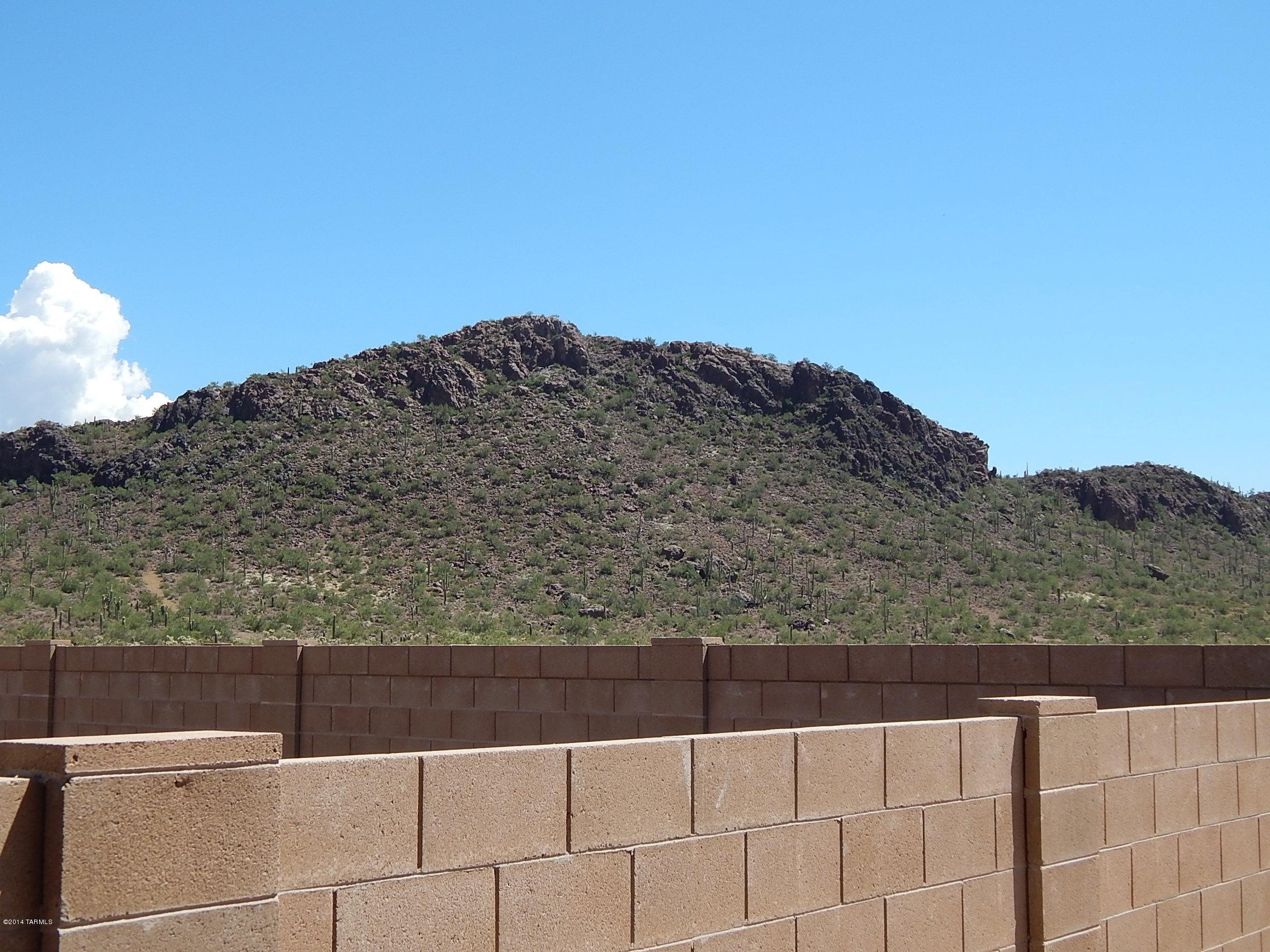 Saguaro Springs Block 8B (131-399) - Residential