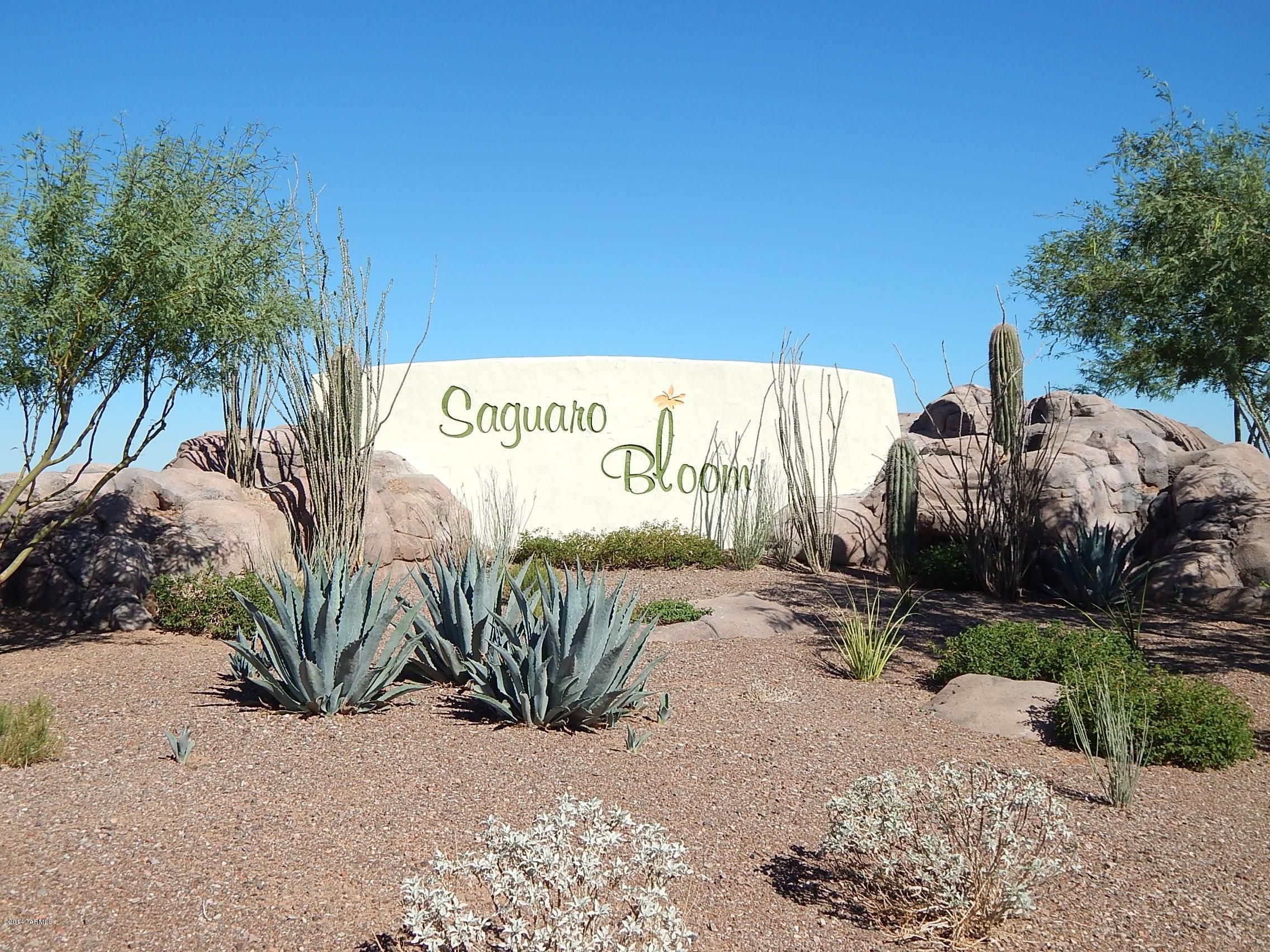Saguaro Springs Block 8B (131-399) - Residential