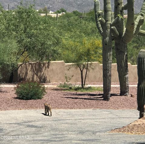 A home in Tucson