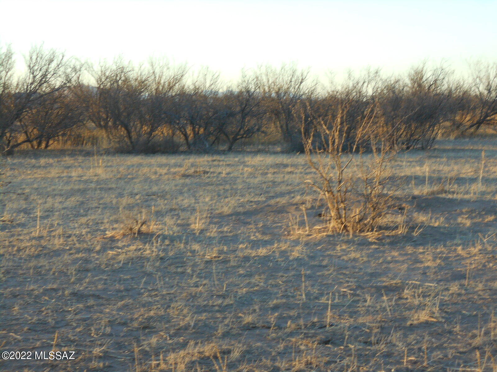 Ash Creek Ranch - Land