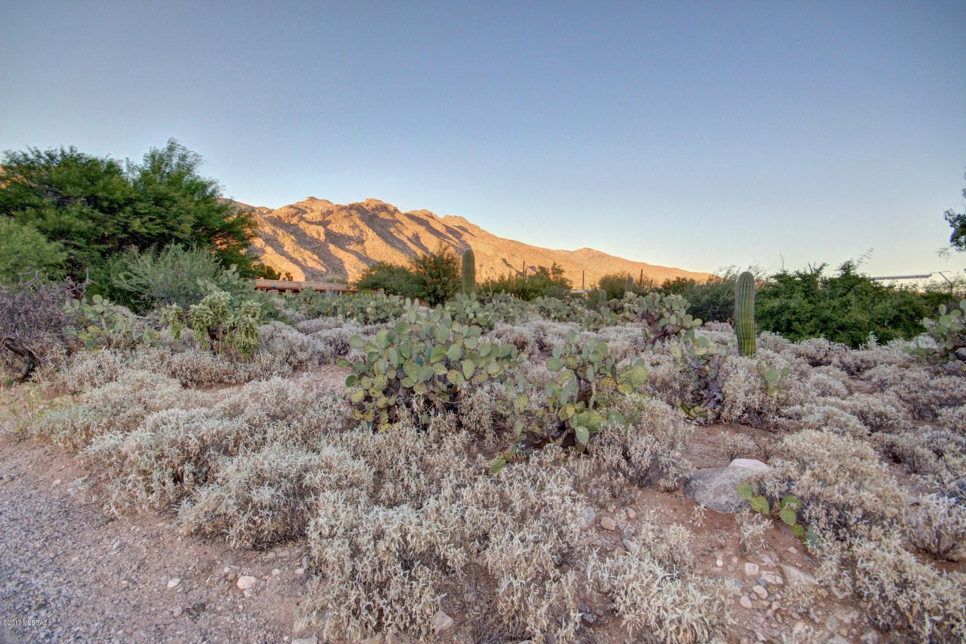 Coronado Foothills Estates - Residential