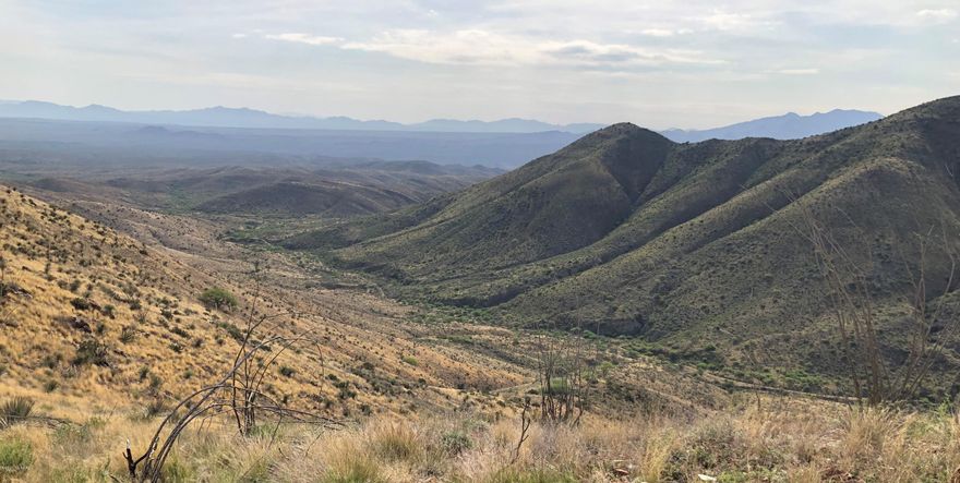 Over 200 acres of land offering sweeping views from the Empire Mountains all the way to Tucson, the Whetstone Mountains, La Cienegas Natural Conservation Area, Santa Rita Mountains, Rincon Mountains and others. Spectacular undisturbed Sonoran Desert and the highest peak in the Empire Mountains are included in the offering at less than $2,000 per acre. Wildlife all around. Don't miss this opportunity to take advantage of this one of a kind offering. Listing includes 3 newly combined parcels. Amazing views, ranch opportunity.