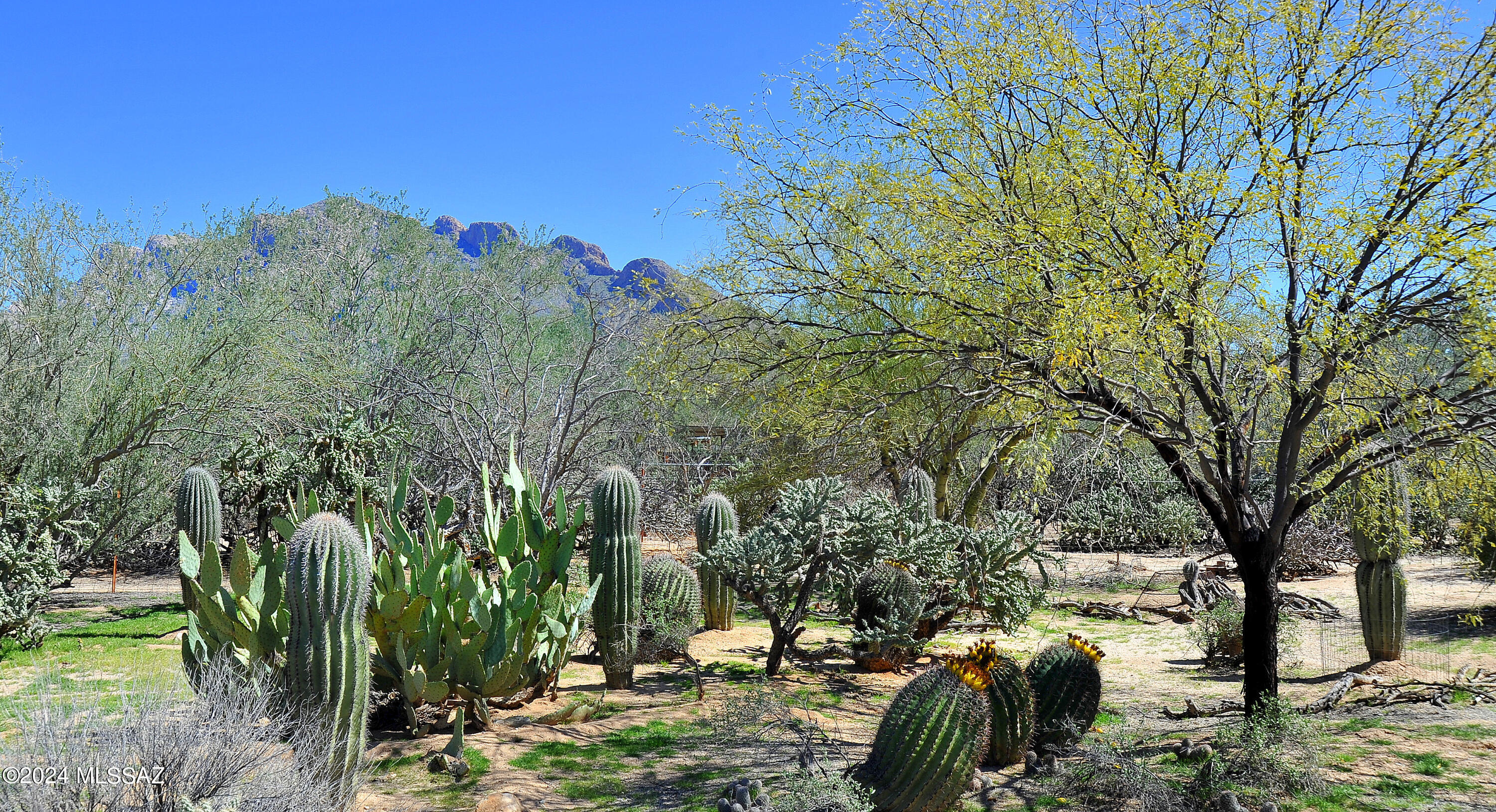 Rancho Verde(1-86) - Residential