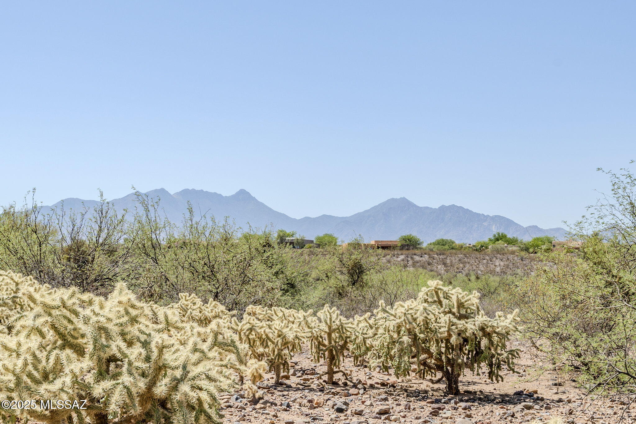 Madera Reserve Phase II (131-263) - Land