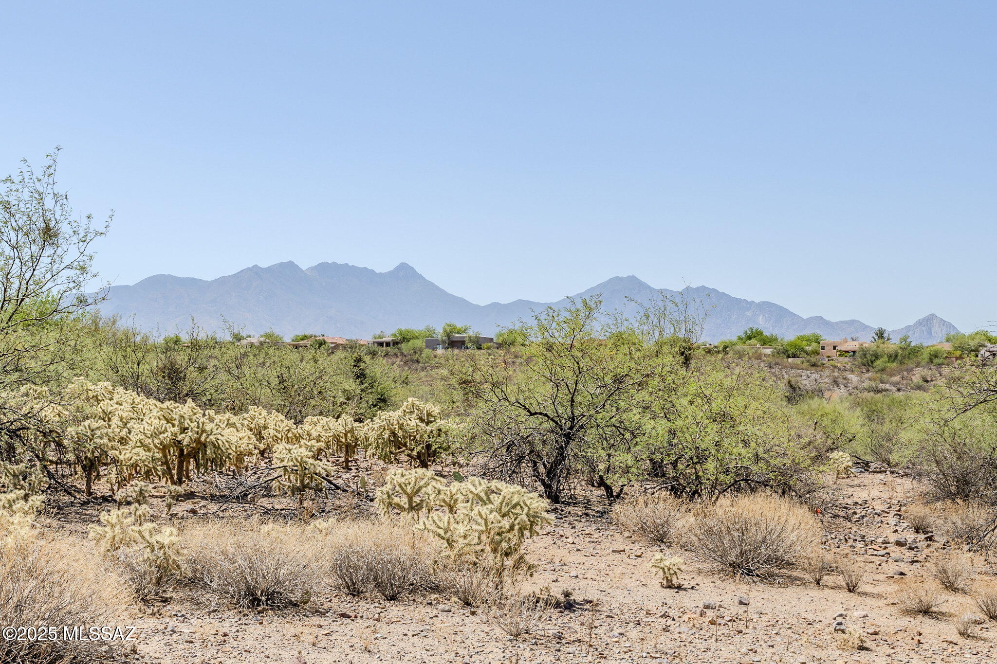 Madera Reserve Phase II (131-263) - Land