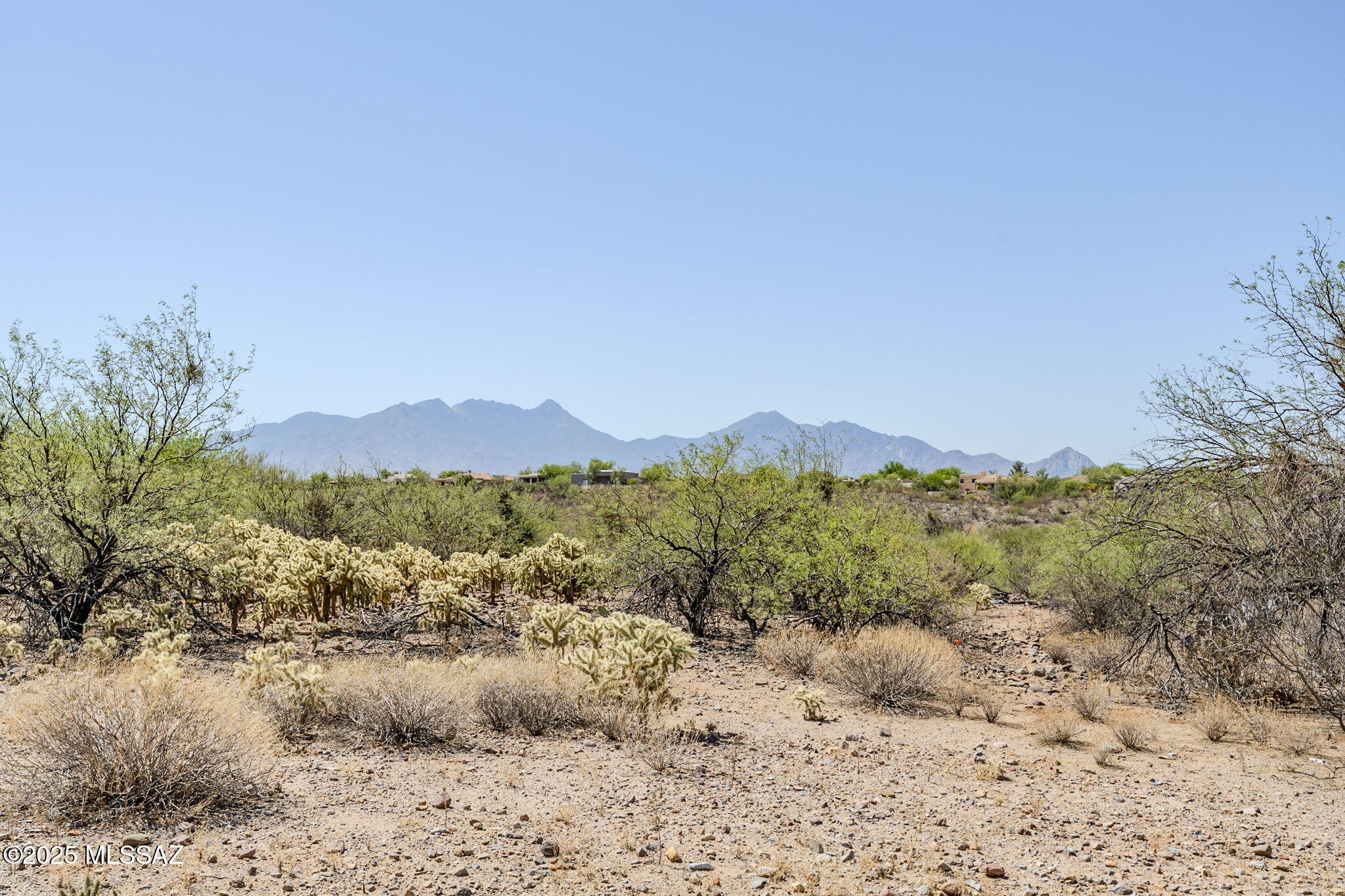 Madera Reserve Phase II (131-263) - Land