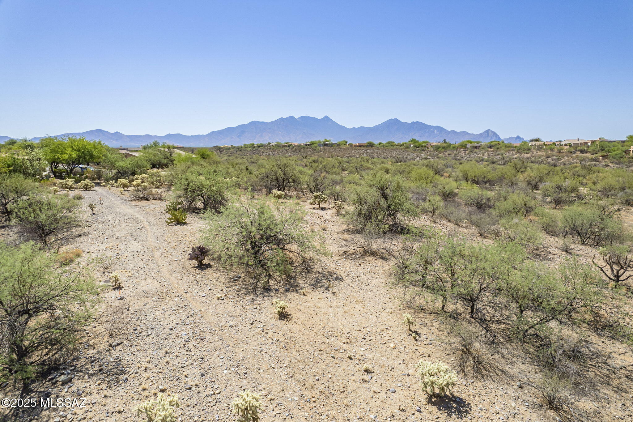 Madera Reserve Phase II (131-263) - Land