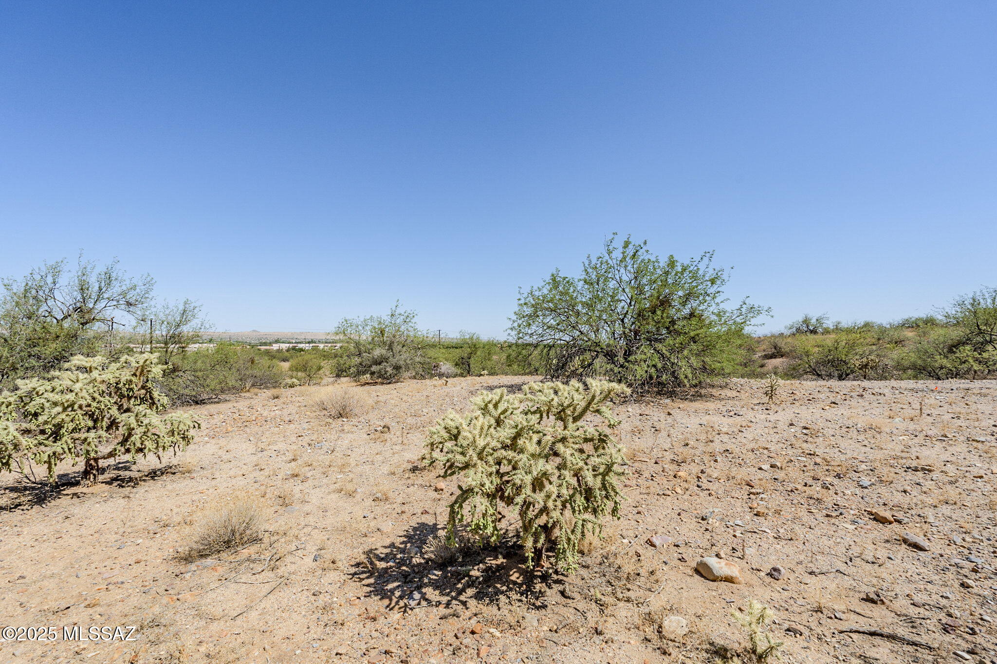 Madera Reserve Phase II (131-263) - Land