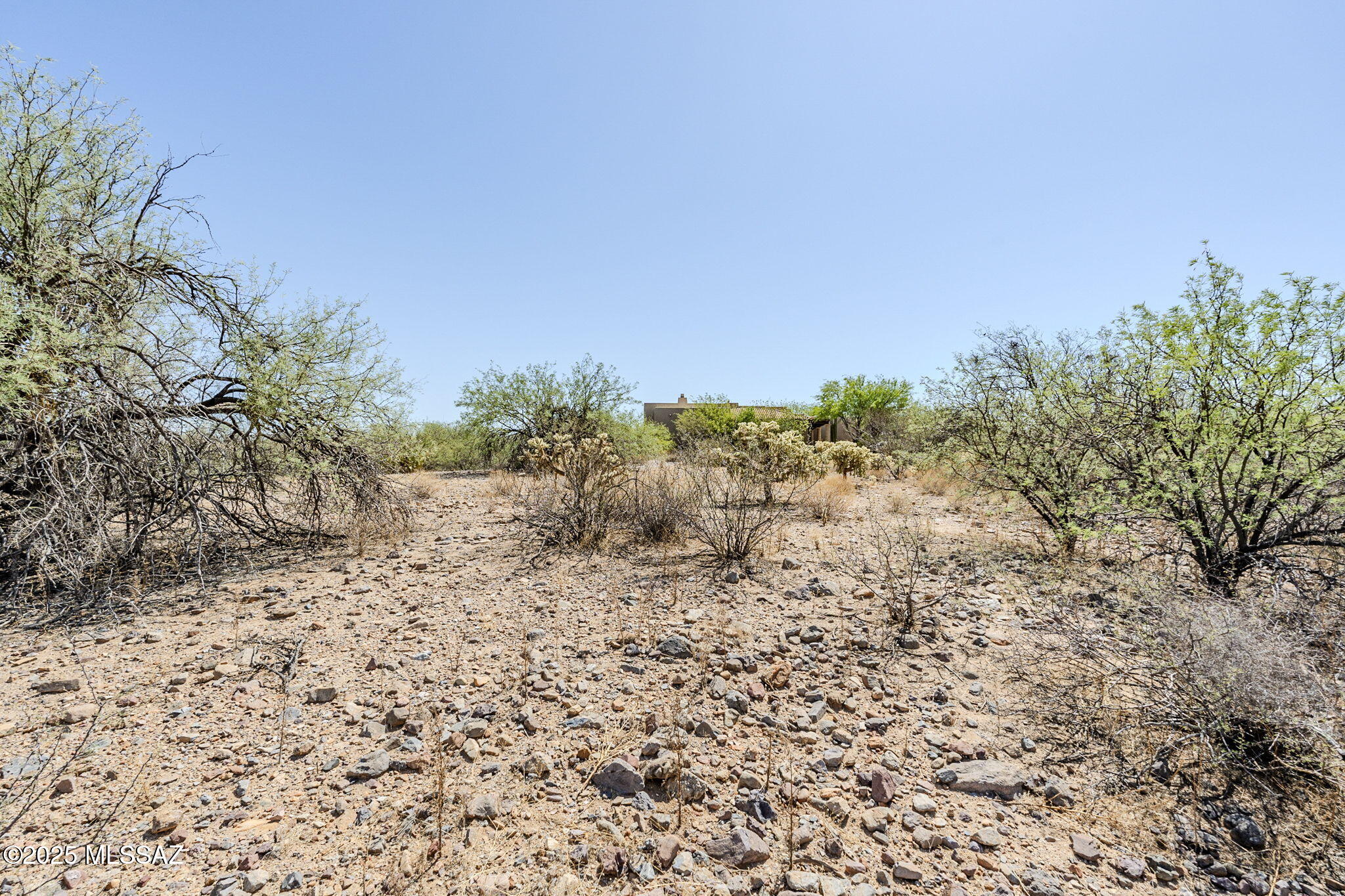 Madera Reserve Phase II (131-263) - Land