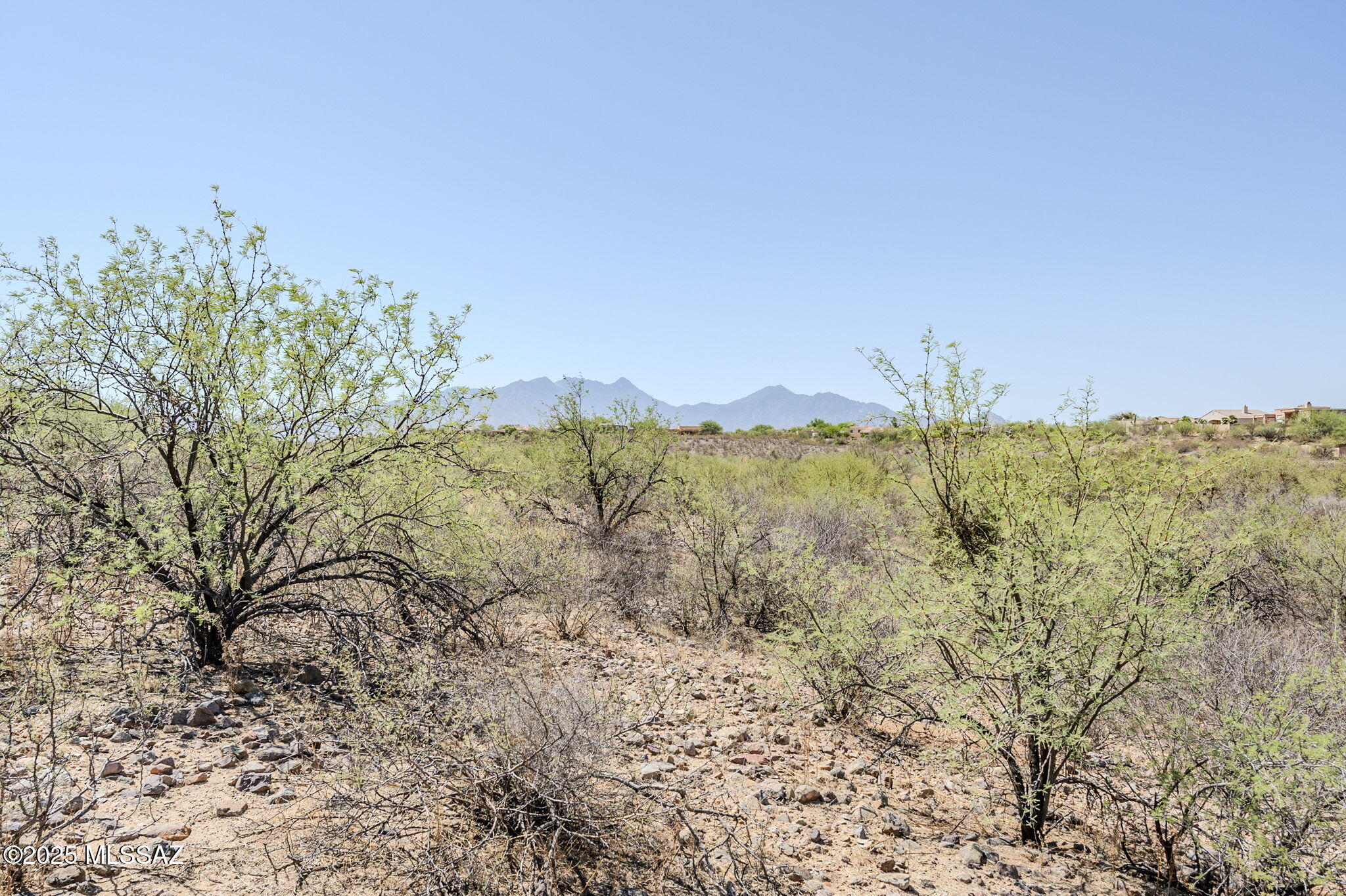 Madera Reserve Phase II (131-263) - Land