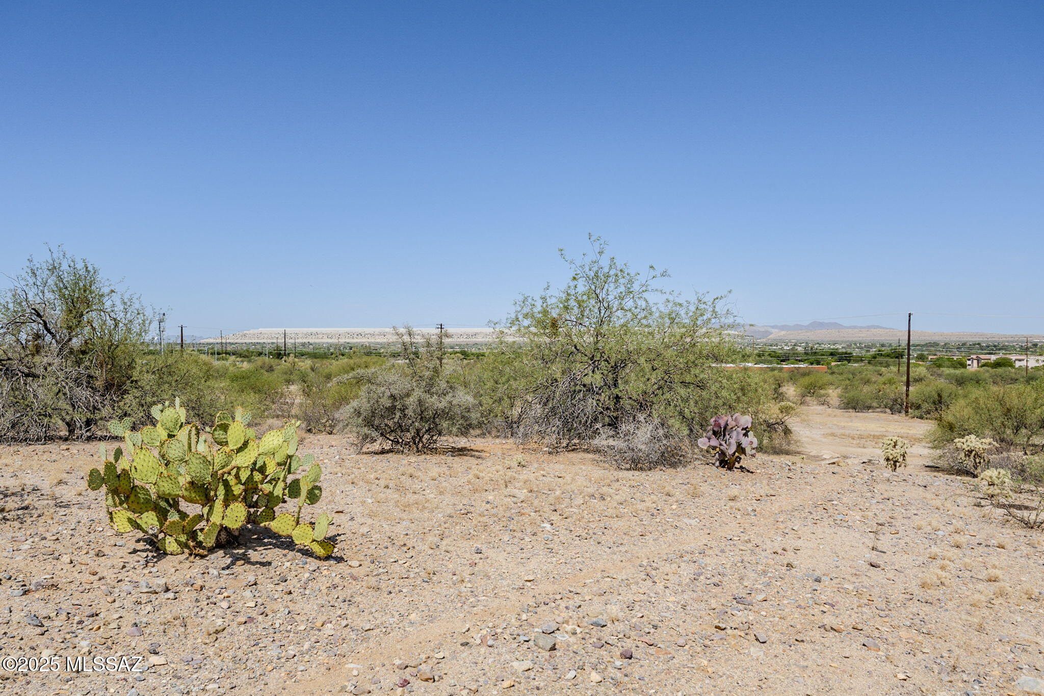 Madera Reserve Phase II (131-263) - Land
