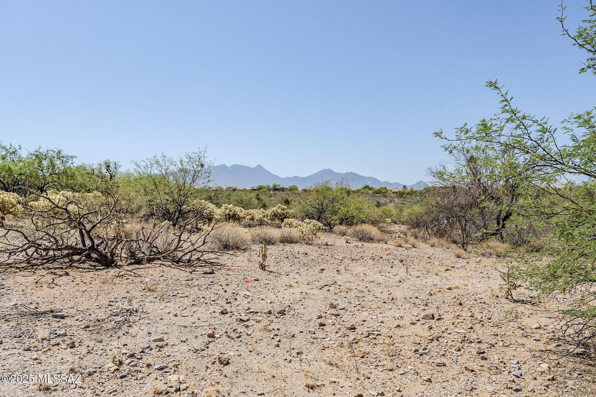 Madera Reserve Phase II (131-263) - Land