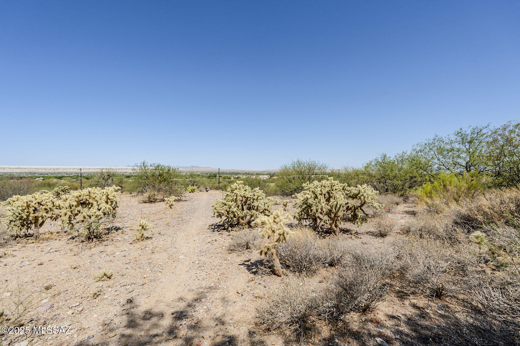 Madera Reserve Phase II (131-263) - Land