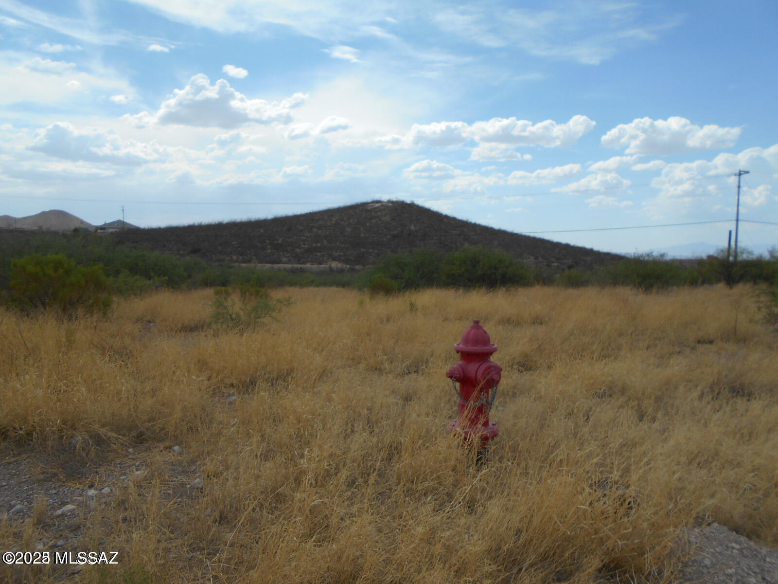 Other/Unknown - Land