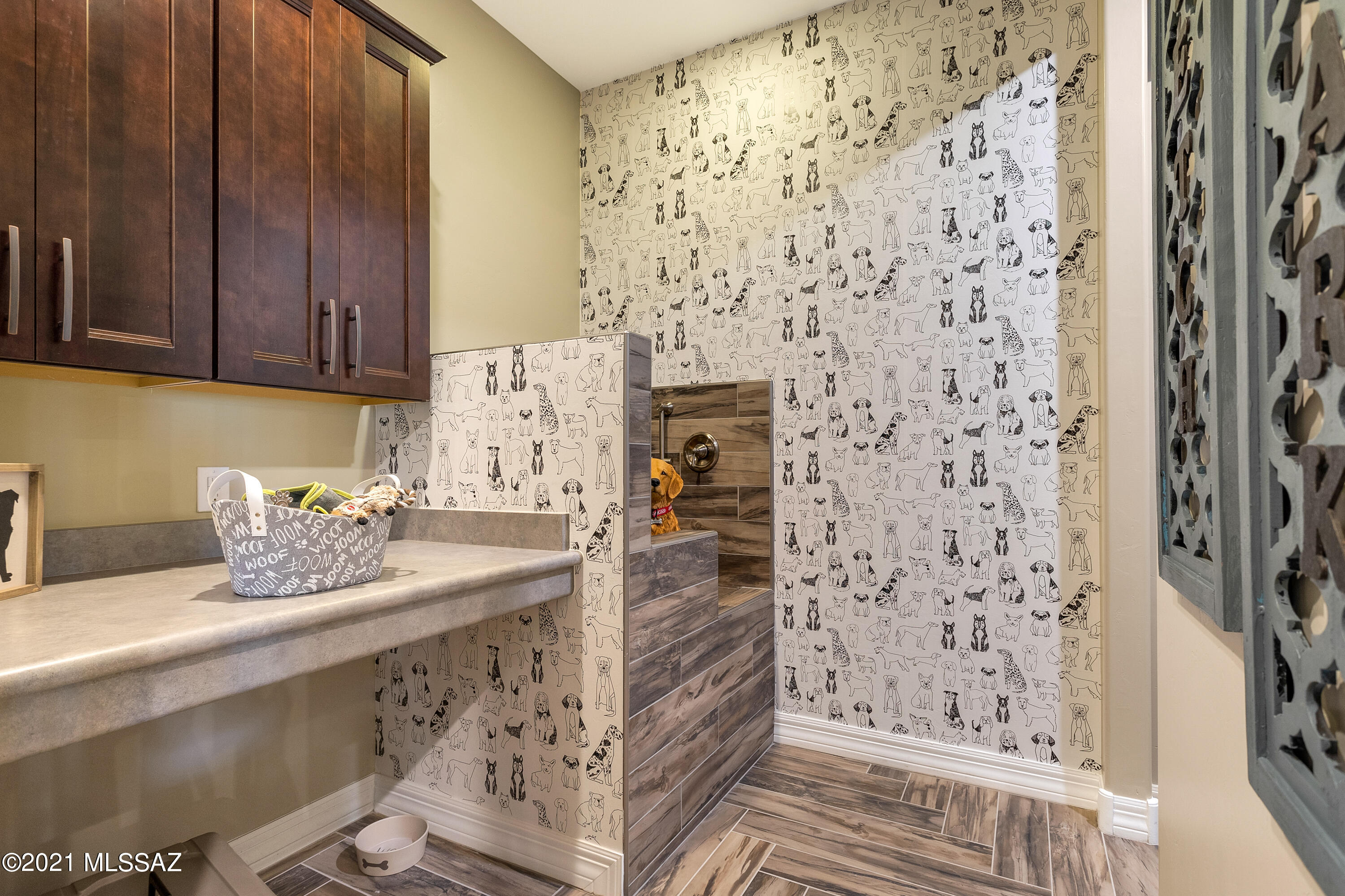 Rancho Vistoso Parcel 5F SQ20170690715 - Residential