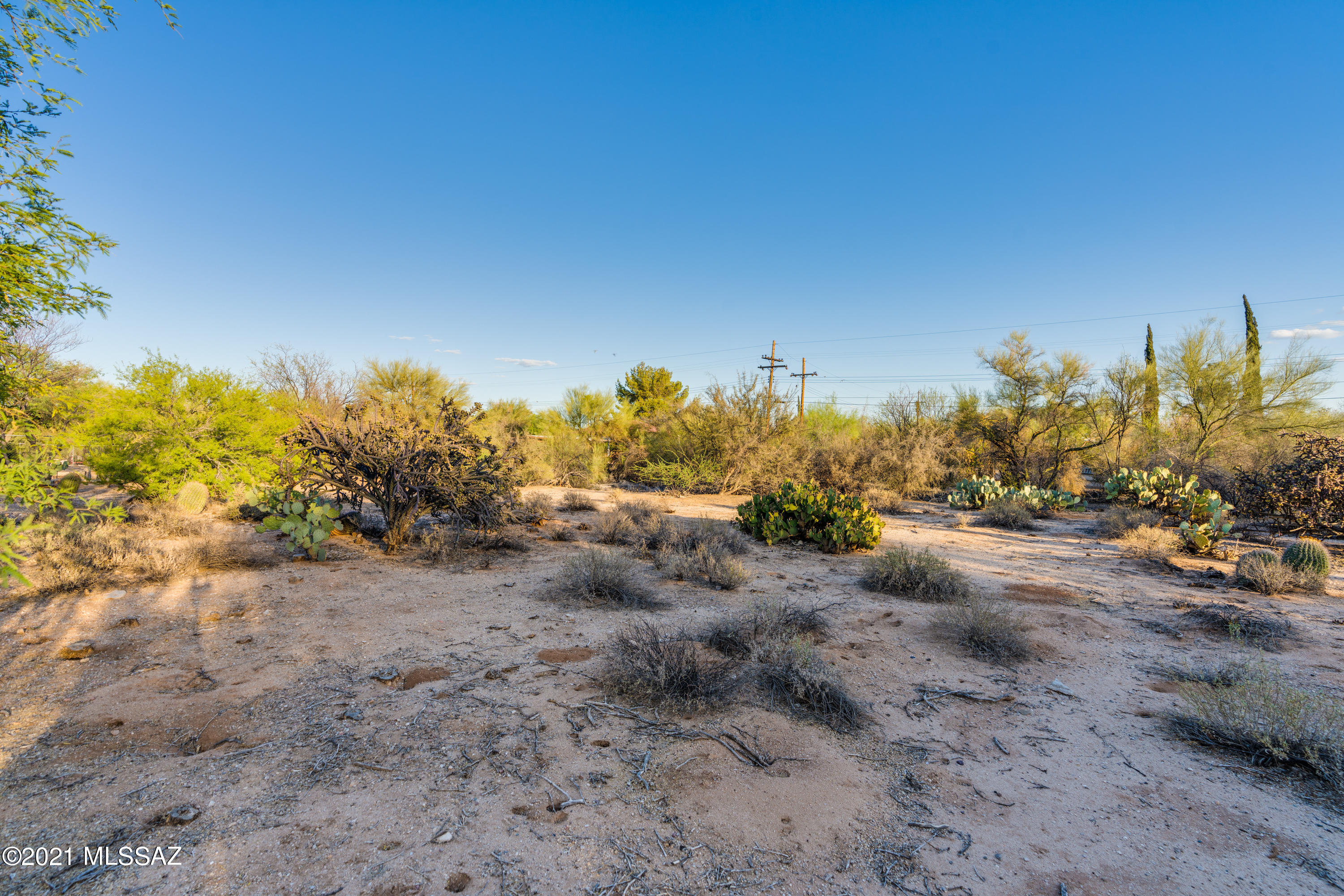 Orange Grove Park (36-114) - Residential