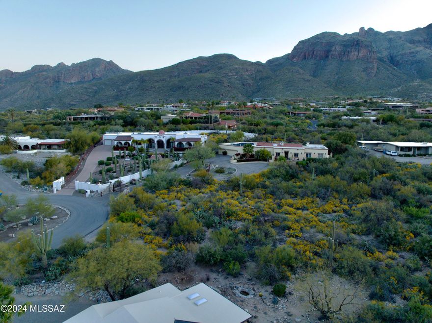 Come and experience this lush land nestled in the Catalina Foothills ideally situated to embrace both the twinkling cityscape and the stunning vistas of the Catalina Foothills Mountains. This lot is just a stone's throw from the fantastic La Encantada; Tucson's outdoor shopping mall featuring two levels of luxury and specialty retail stores, and restaurants.  Nestled amidst the majestic saguaros offers a canvas to build your dream home in a lush Sonoran desert setting surrounded by the tranquility of the desert landscape, where each sunrise paints the sky with hues of pink and gold, and each sunset casts a warm glow over the rugged terrain. Embrace and marvel at the vast expanse of the Tucson desert. In addition to its natural beauty, this lot boasts a ready to build envelope and the... added convinces to access to utilities, ensuring that your vision for a desert sanctuary can easily become a reality. Whether you aspire to build a custom home that seamlessly blends with the environment or create a desert oasis complete with native flora and fauna, the possibilities are endless. Don't miss this rare opportunity to own a piece of the desert paradise in the Foothills of Tucson. Come turn this blank canvas into your own slice of desert paradise today before it's gone!