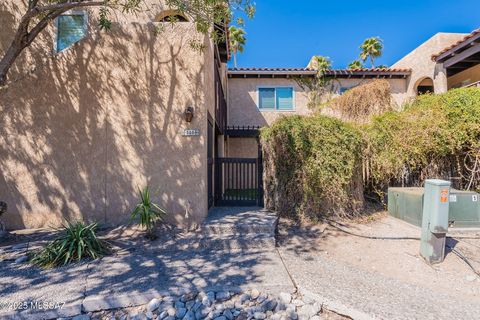 446 N Dodge Boulevard Tucson AZ 85716