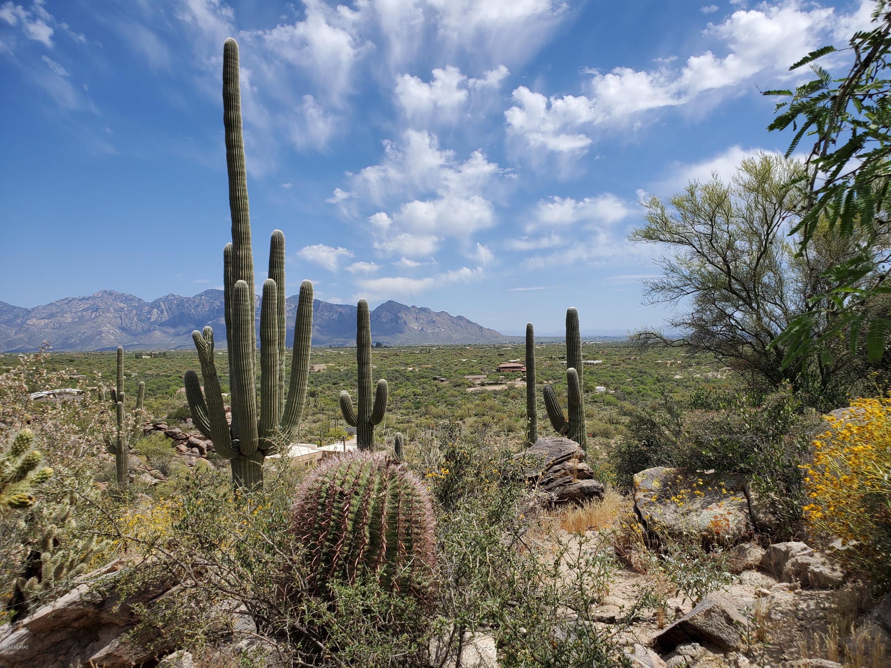 Moonlight Canyon at Saguaro Ranch Phase 1 - Residential
