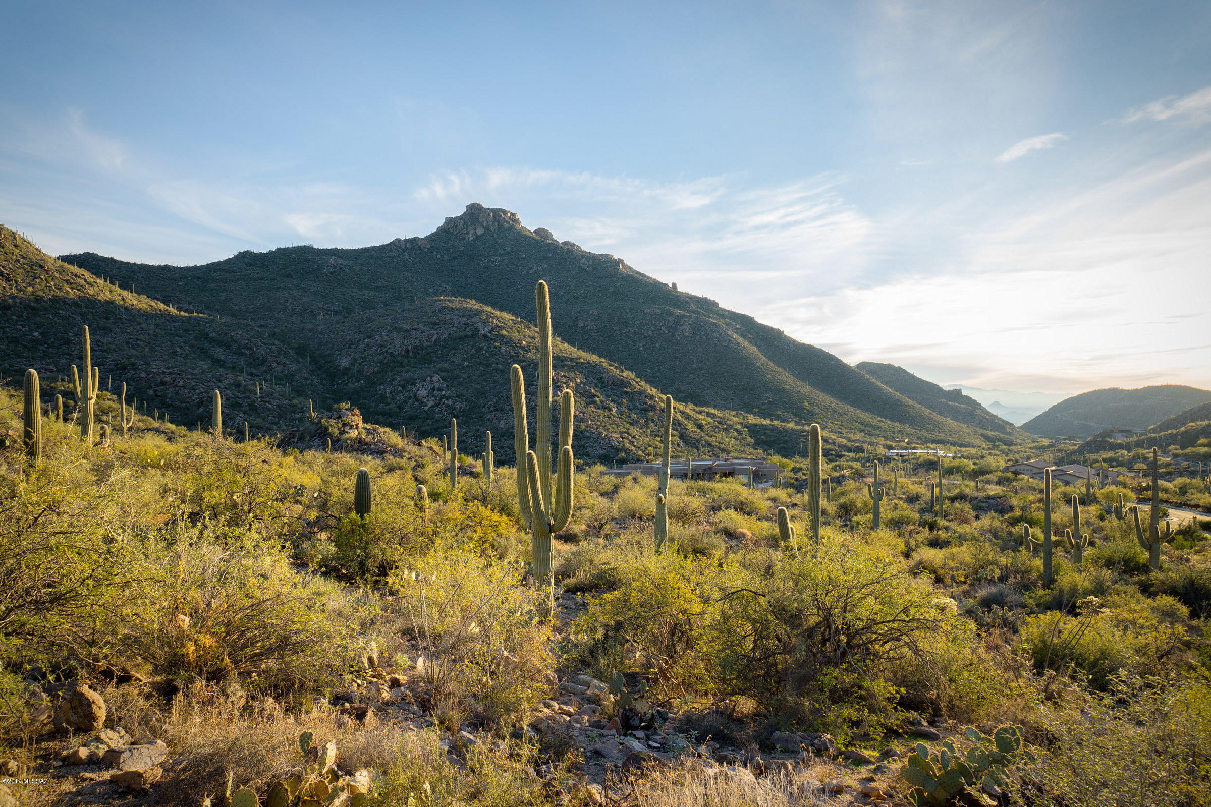 Canyon Pass At Dove Mountain(1-48) - Residential