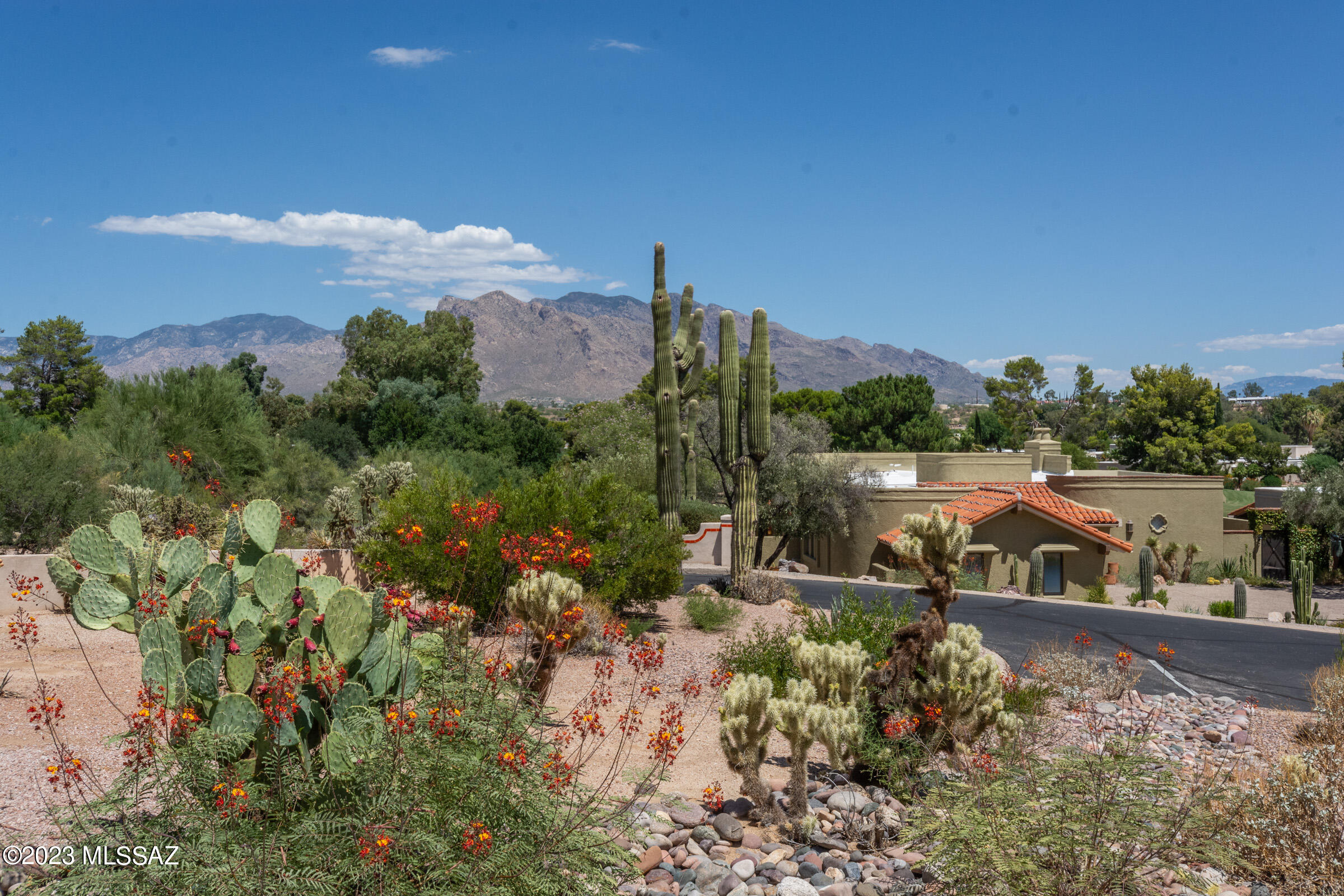 Tucson National Est West Resub - Residential